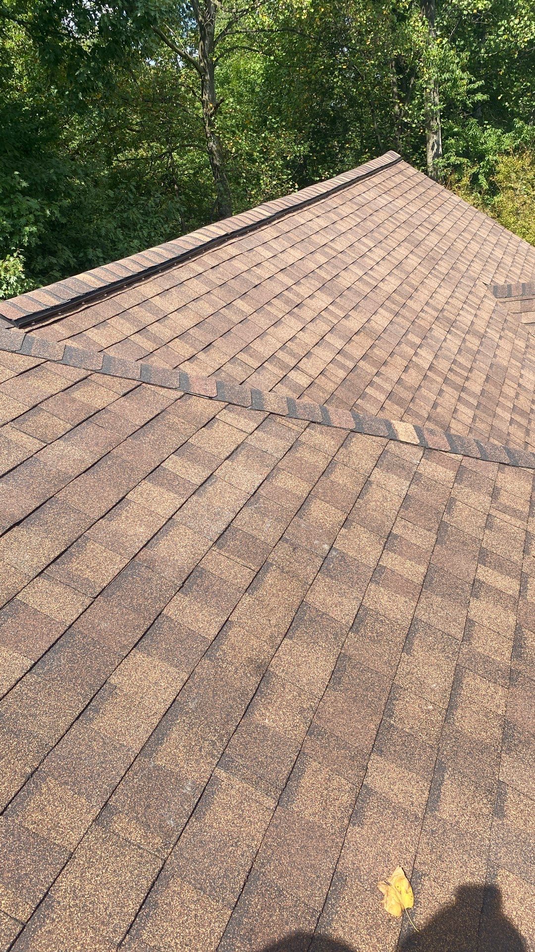 Vienna: Residential Roof Replacement with CertainTeed Landmark Designer Shingles in Burnt Sienna by RM Banning, Inc.