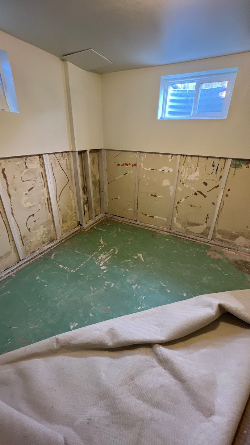 Mold Remediation by Accountable Home Services
