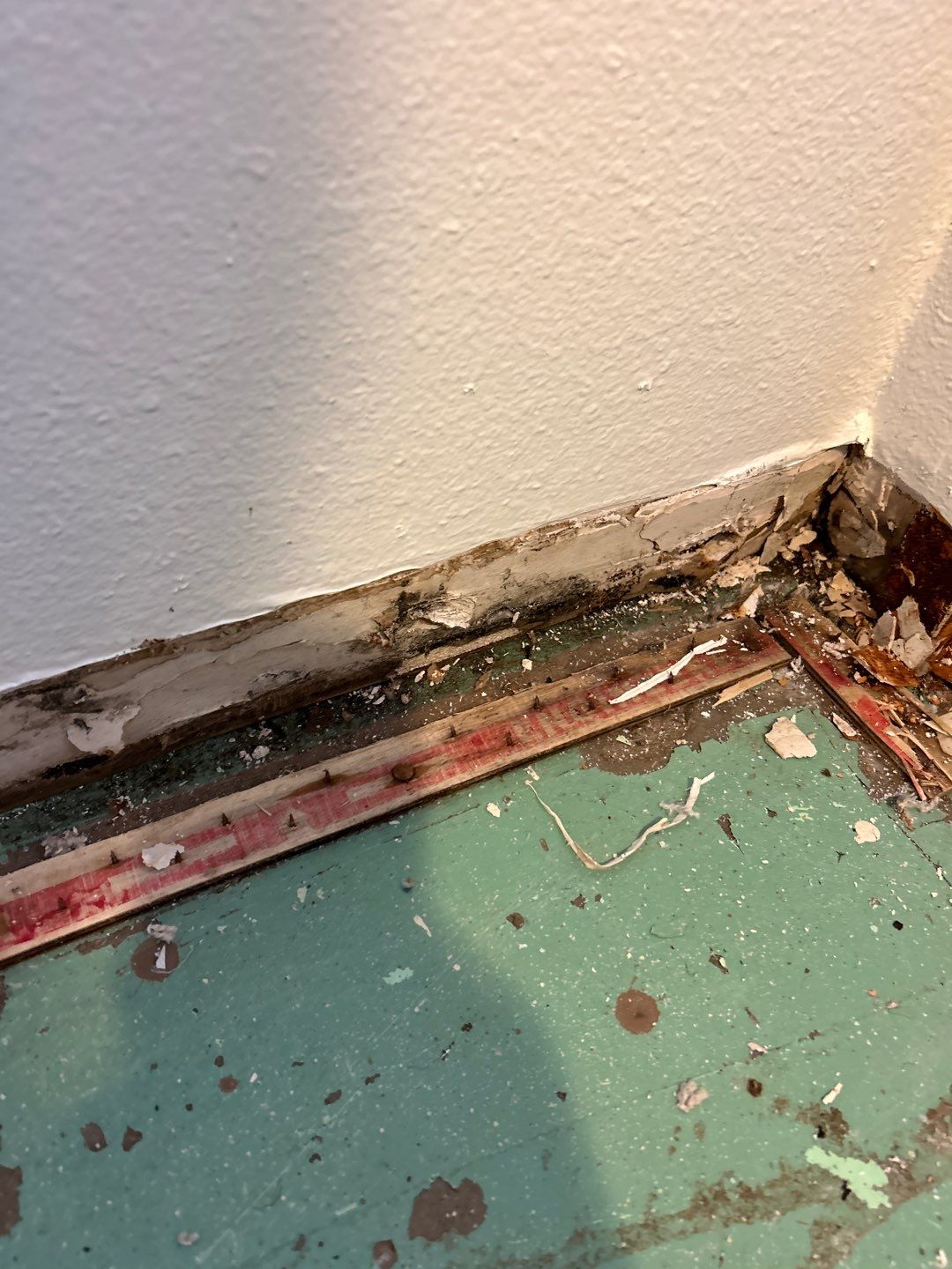 Mold Remediation by Accountable Home Services