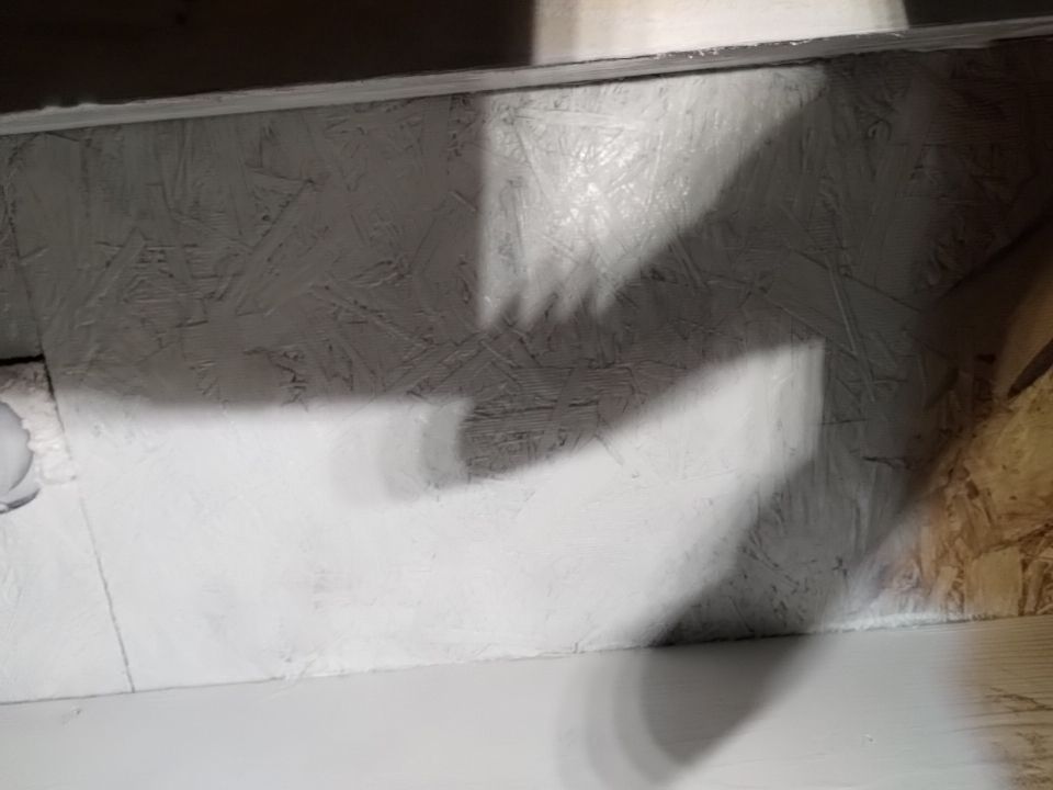 Mold Damage by Accountable Home Services