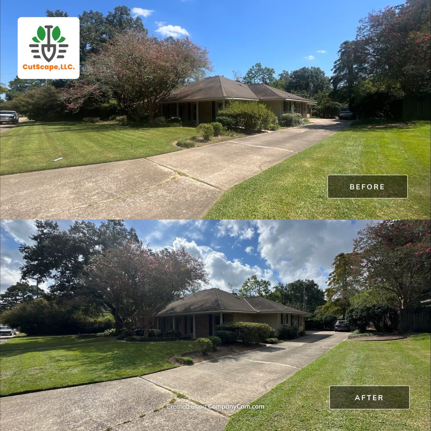 HERBICIDE / CLEAN OUT / TRIM / BRUSH DEBRIS REMOVAL using BRUSH REMOVAL / PROPERTY CLEAN UP LABOR by CutScape, LLC.