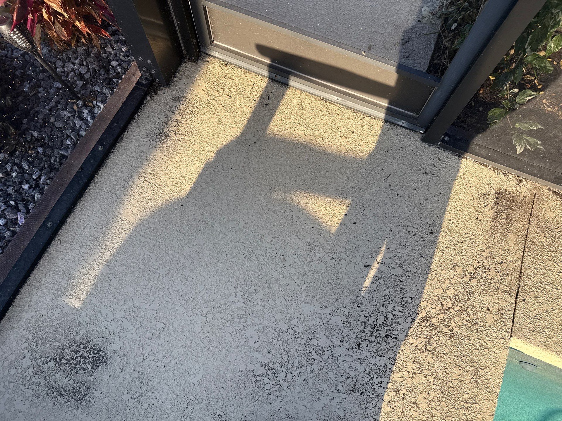 Roof Soft Wash, Pool Deck & Screen Enclosure Cleaning – Trevesta Community, Palmetto, FL by Sunshine AquaWash