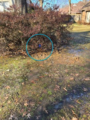 Water Leak Detection