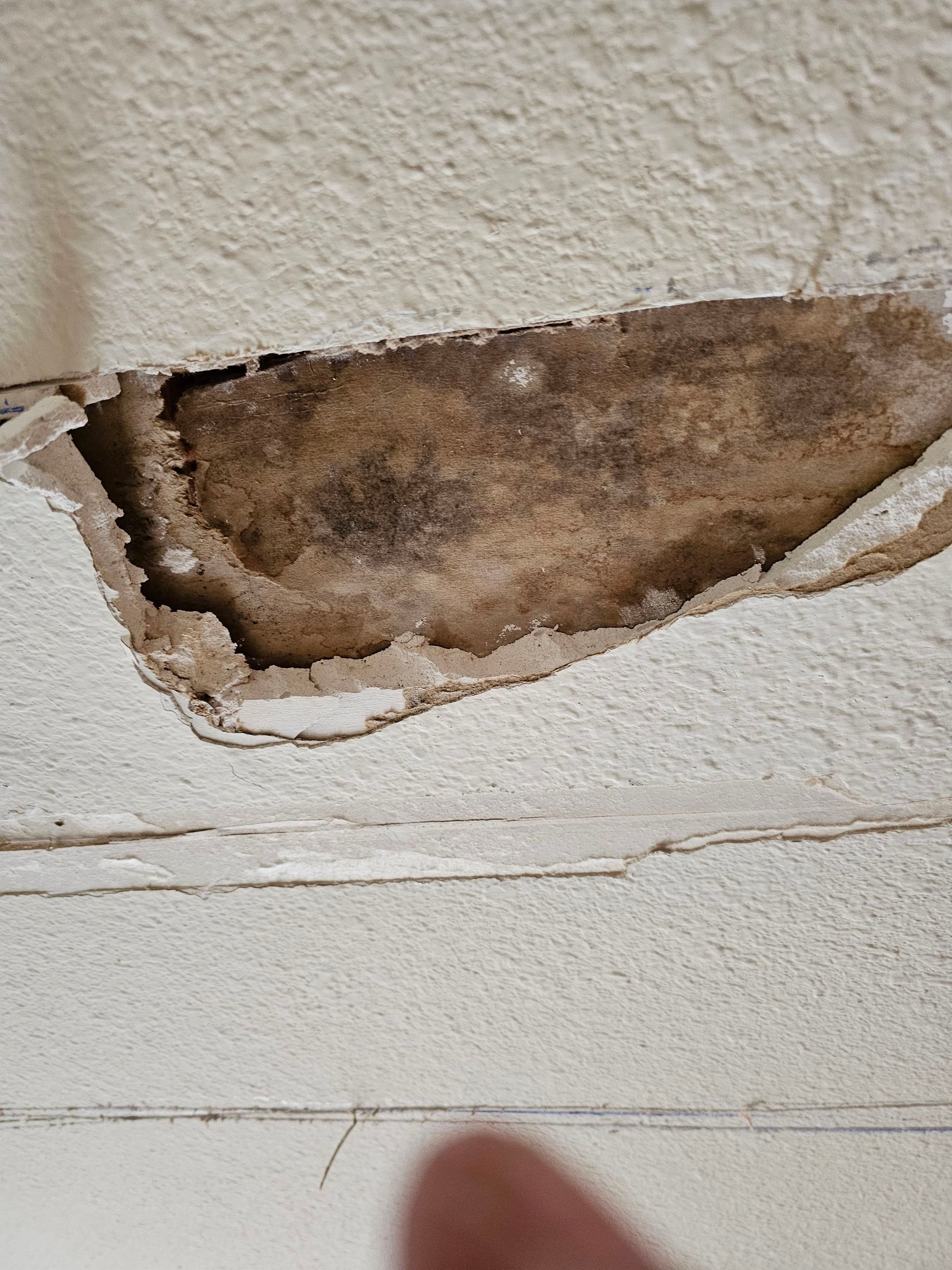 Exterior & interior paint, Garage door repairs, roof replacement & leak repairs by EL-GC LLC 