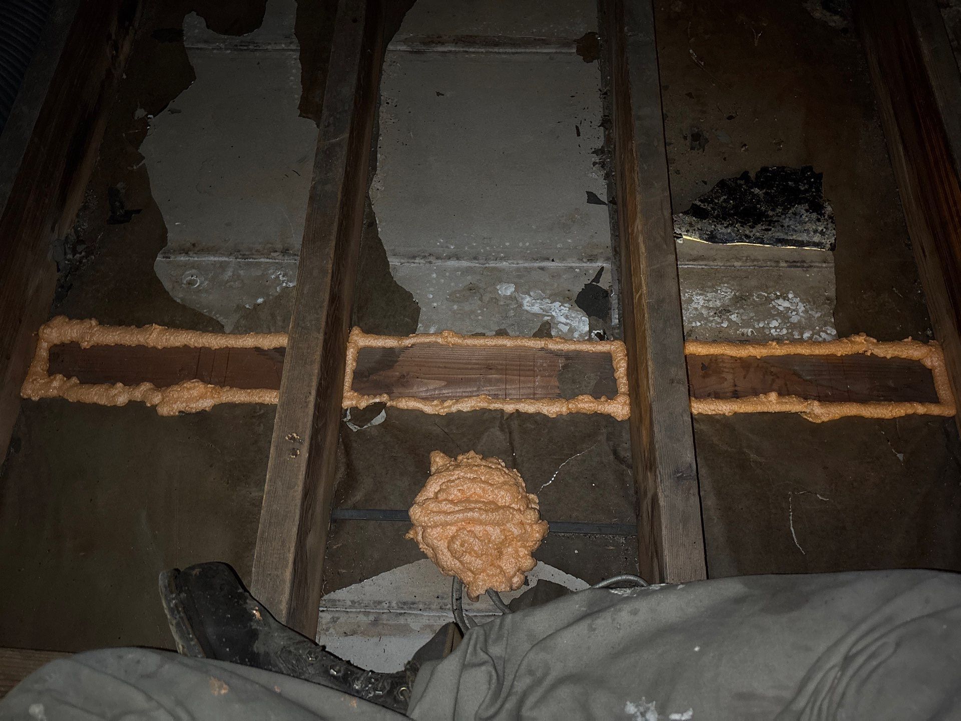 Rodent Clean up In Beaver Falls PA  by Home Environment Solutions