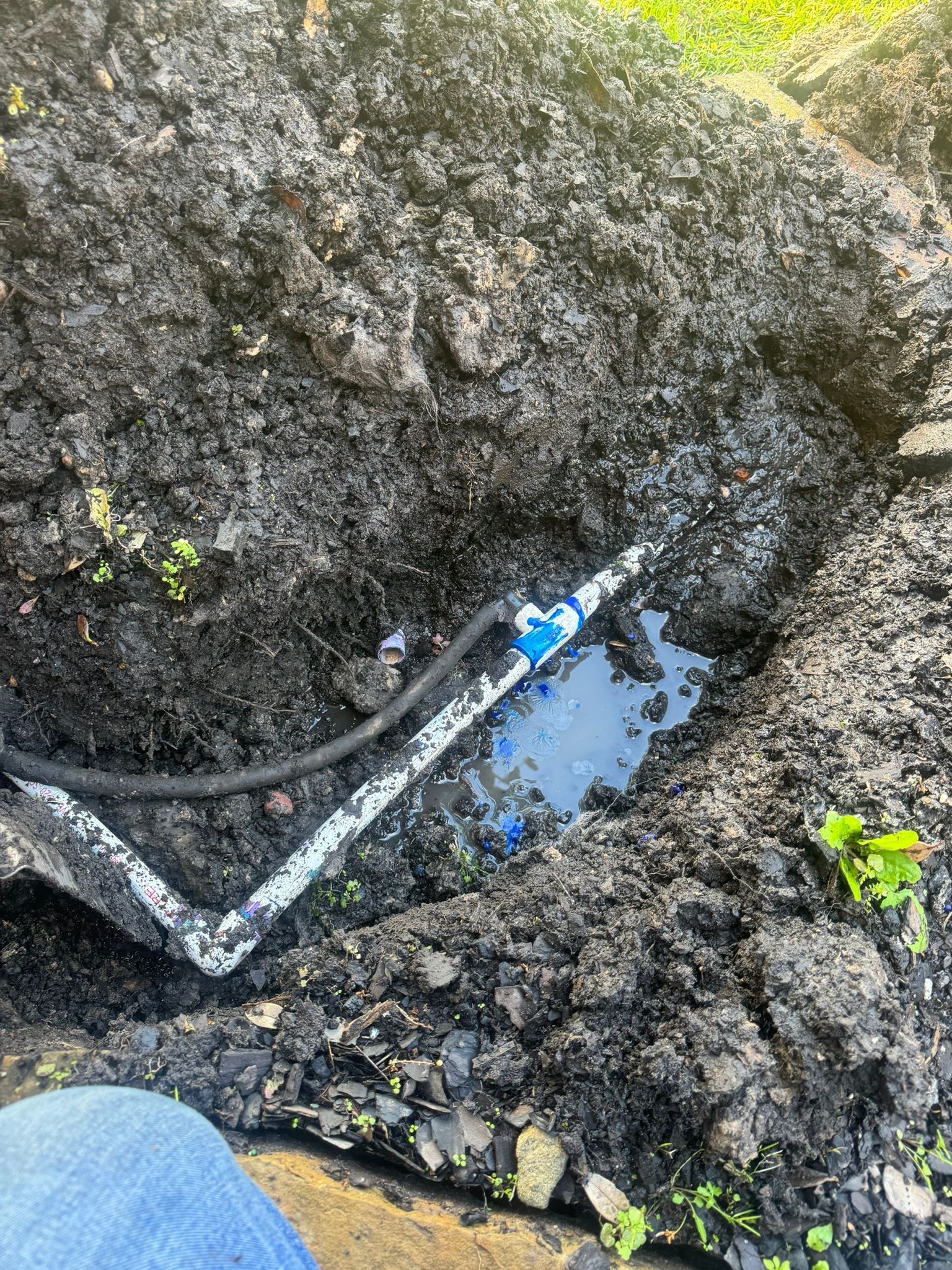Water Flow Restored! Quick Irrigation Service Call for Path! 💧🛠️ by Texas Urban Elements