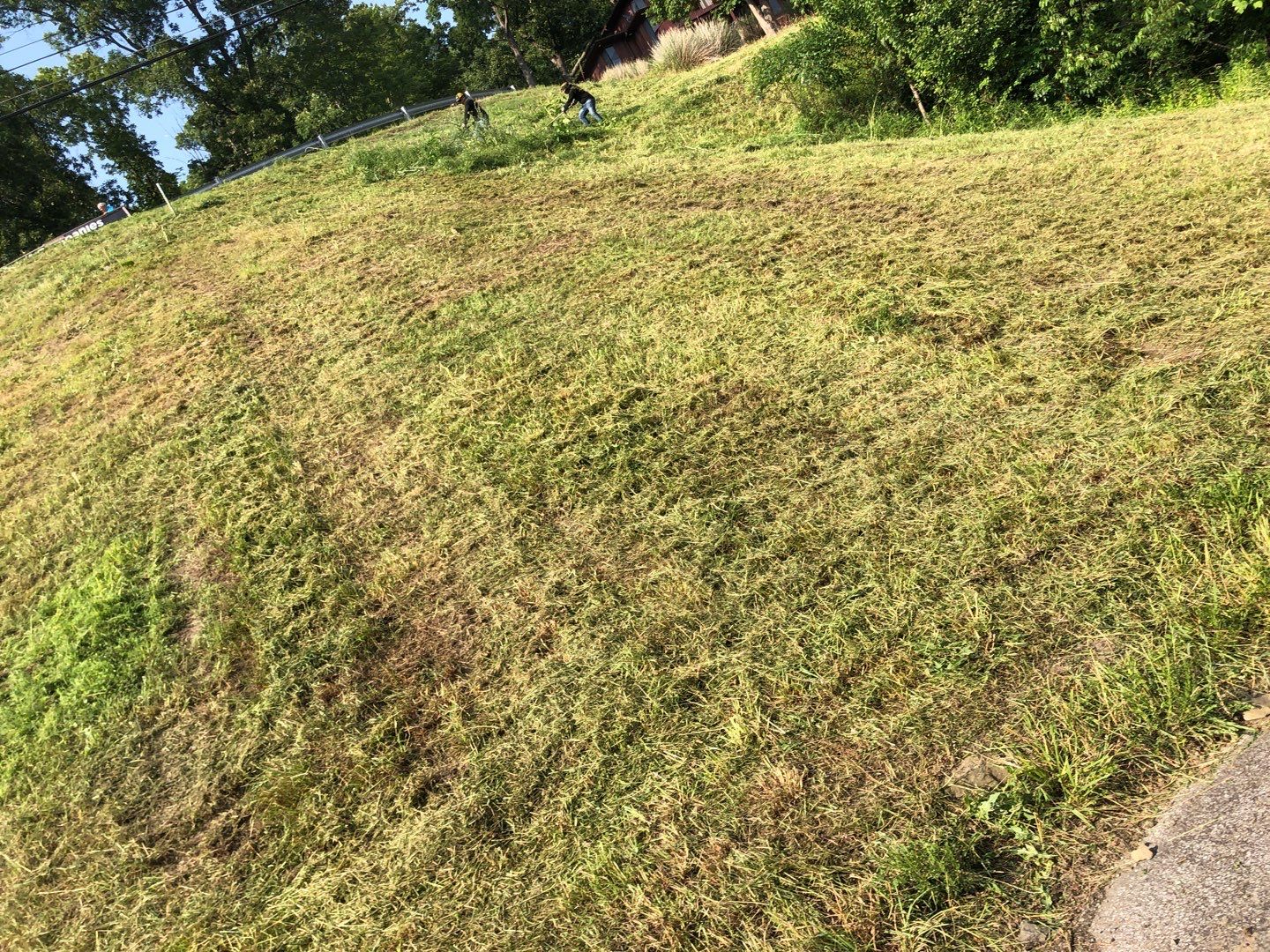 Mowing the impossible  by GrassBusters, Inc.