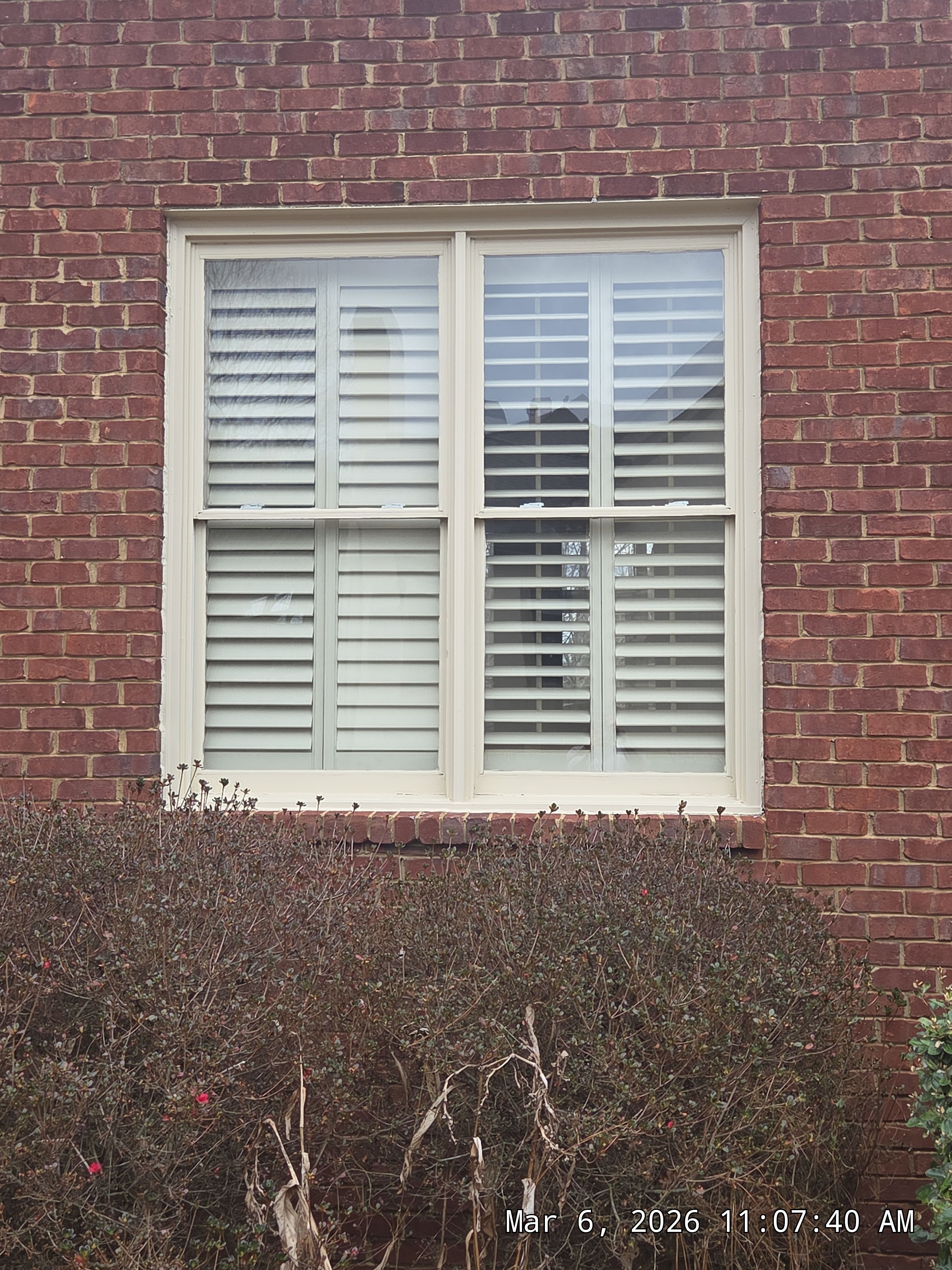 Zwiebel Project in Hoover by The Window Source