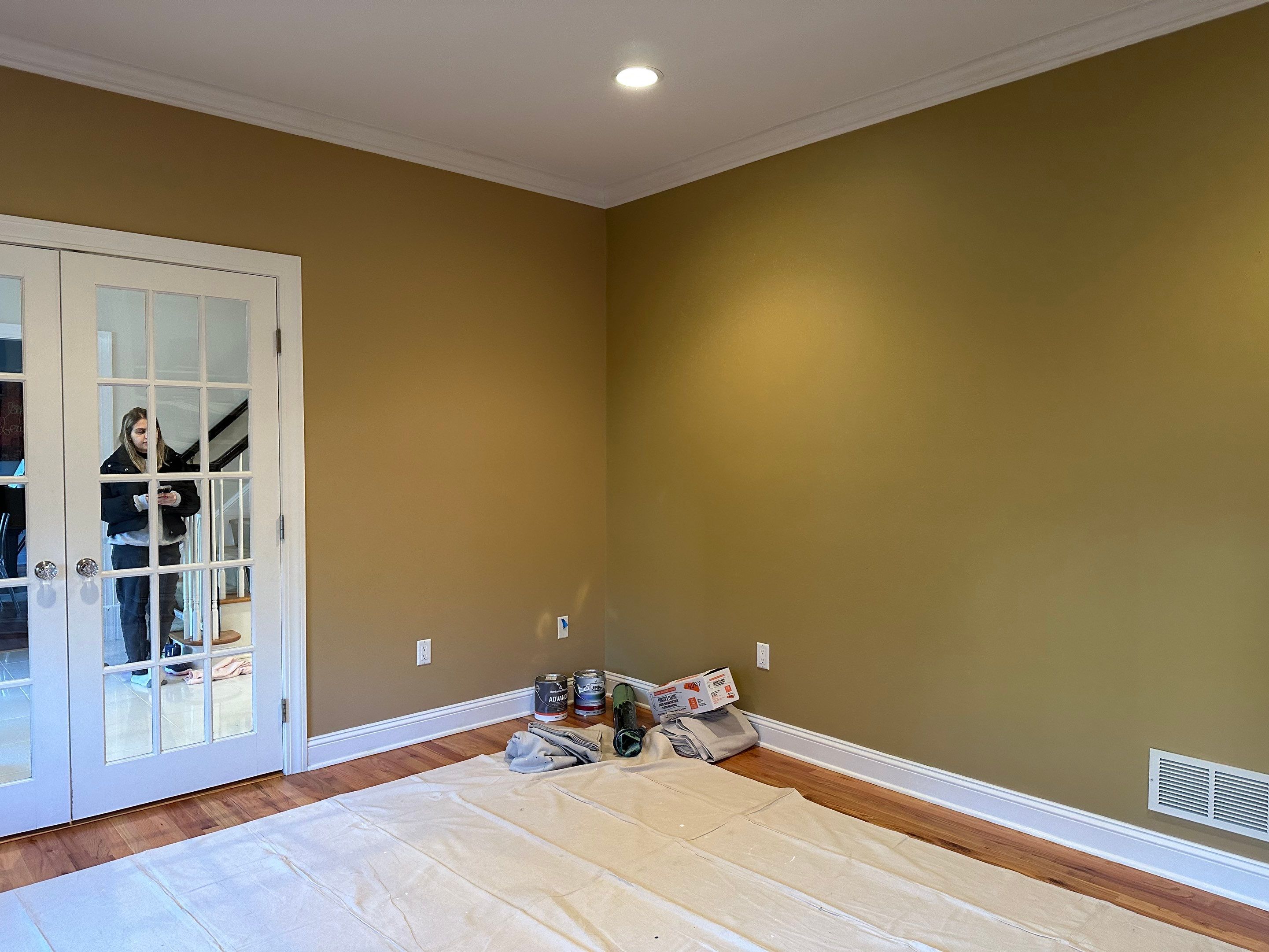 Greenman Office Painting by MPO PAINTING SERVICES