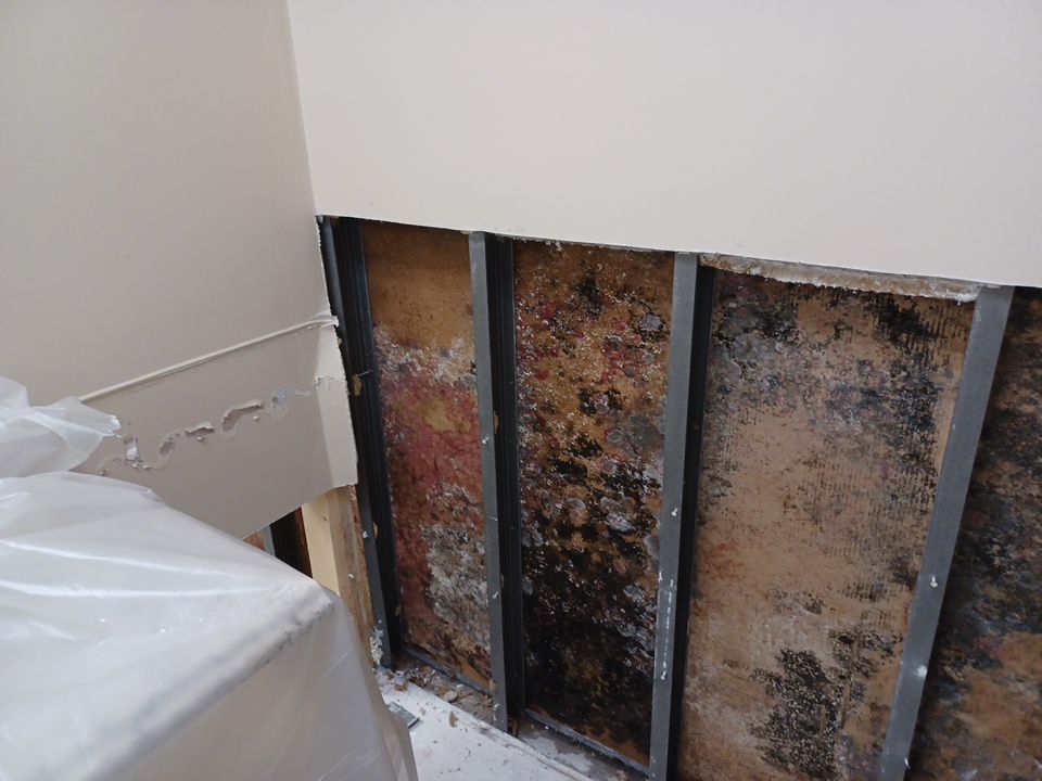 Project in Commerce Twp by EzDry Water Mitigation & Property Restoration