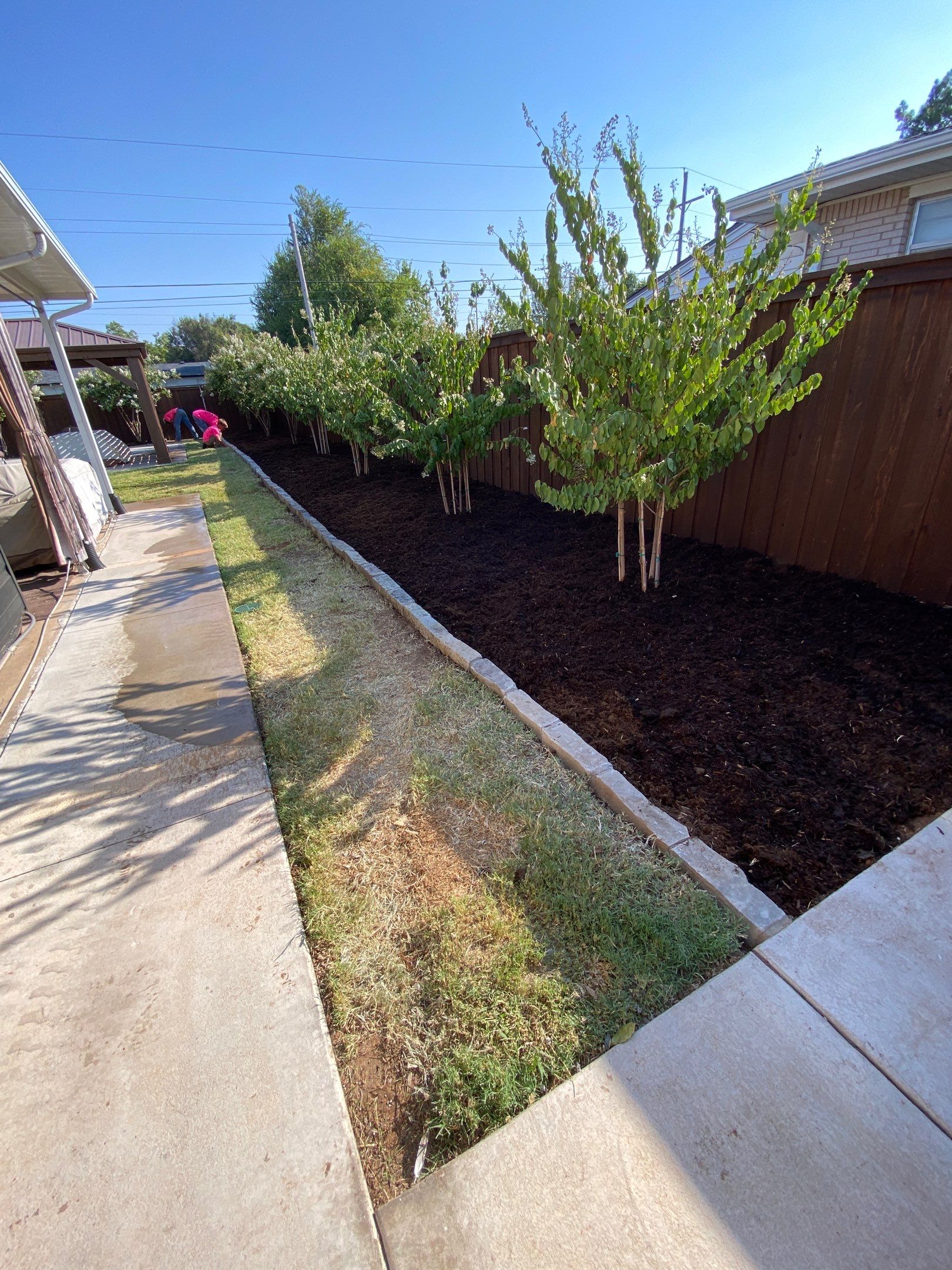 Landscape using Crepe Myrtle Plant by Clays Services Inc