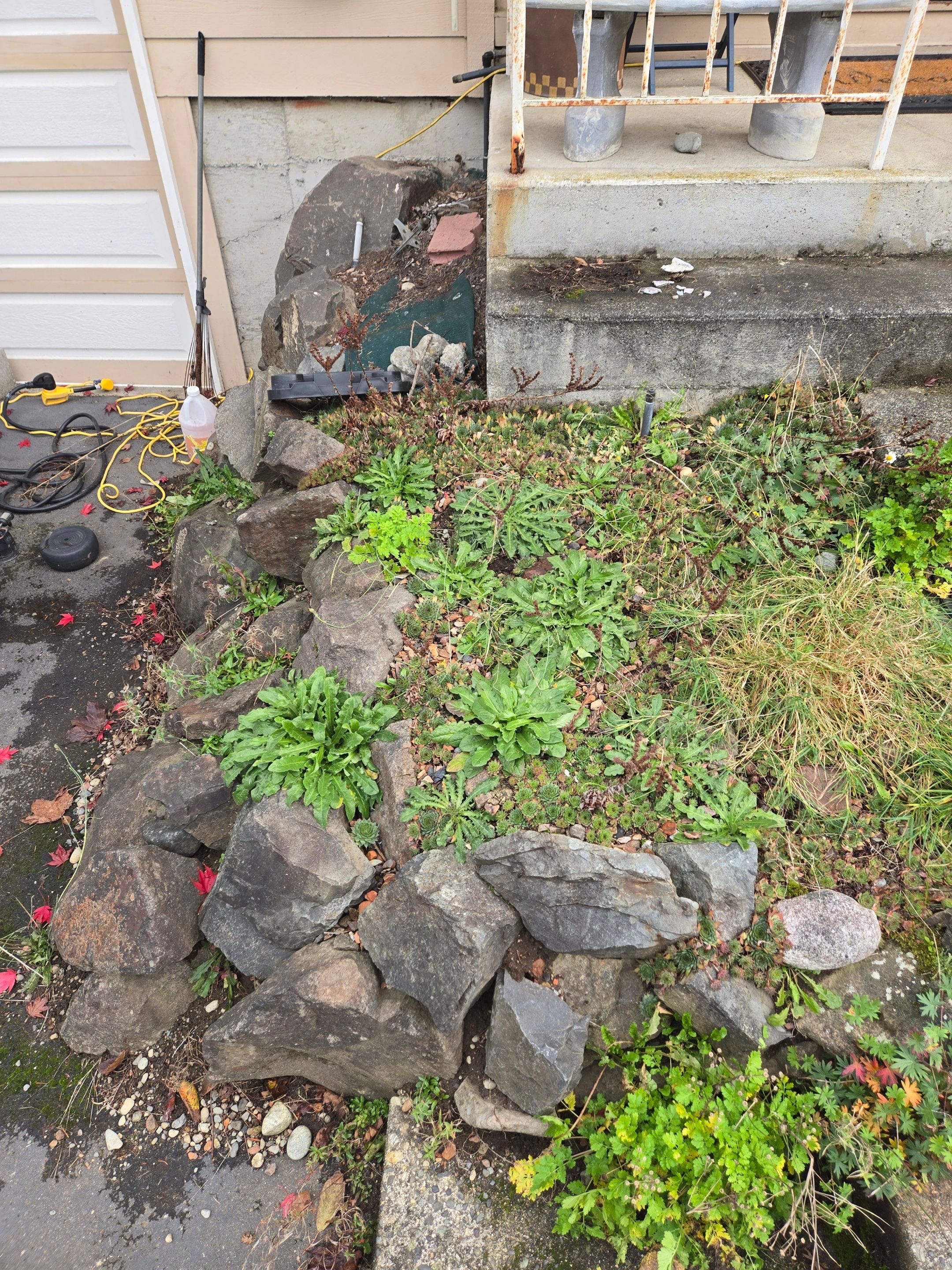 Concrete Front Stair Repair | Bothell  by Jireh Asphalt & Concrete Inc 