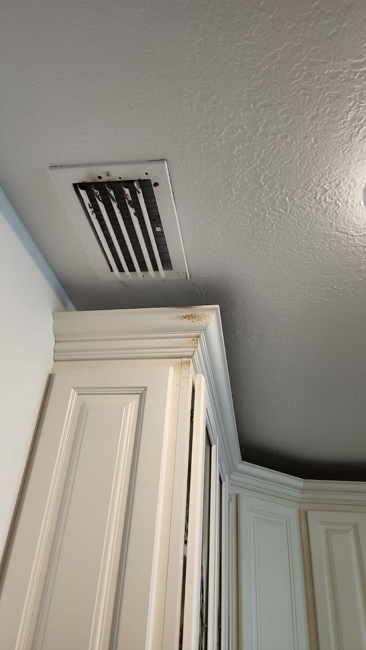 Suspect Mold growth in HVAC System by Building performance Solutions LLC