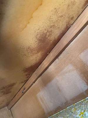Water Damage Claim in Cressona