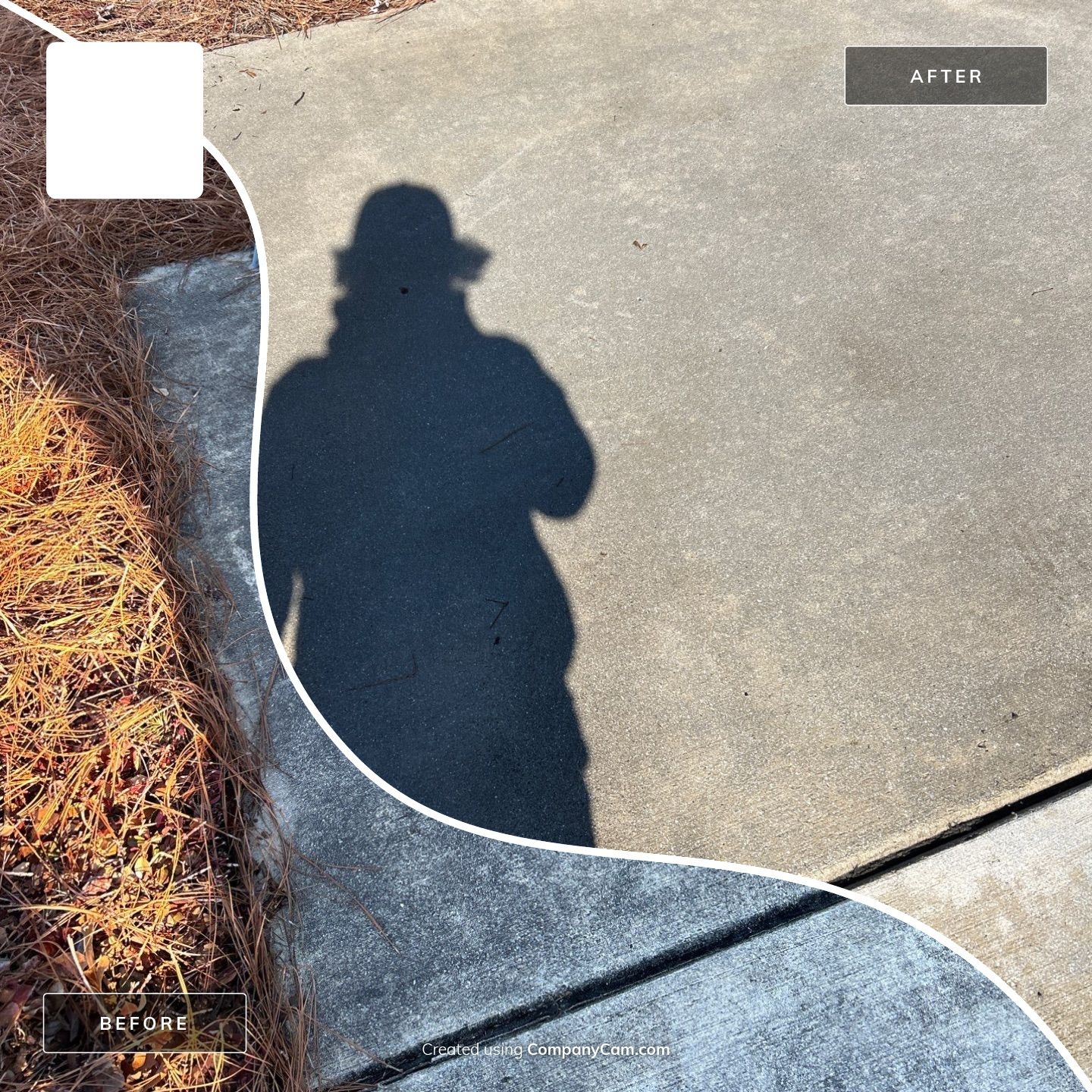 Concrete Cleaning in Hampstead by Shark Power Washing