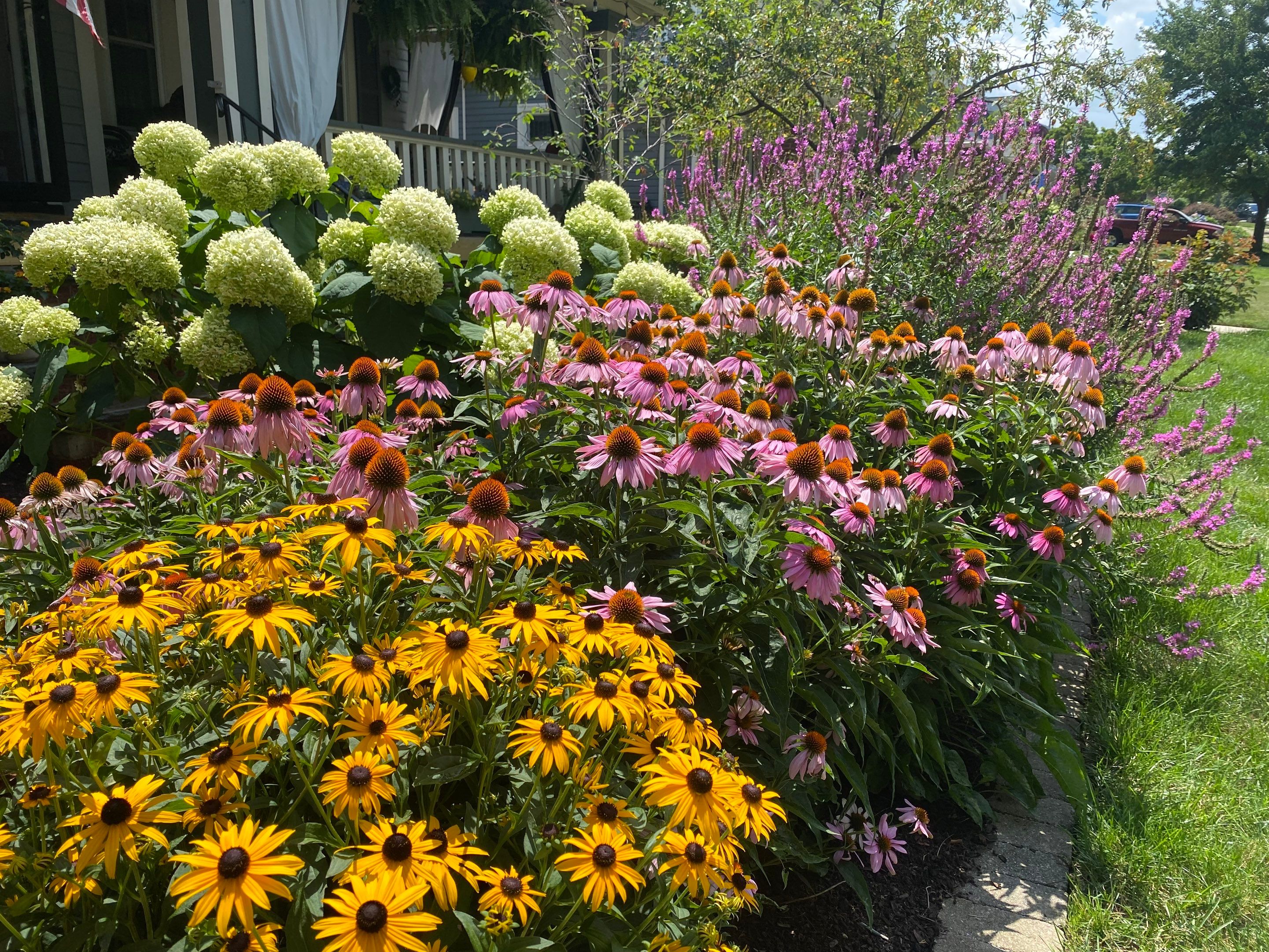 Elm Rose Home Project by Elm Rose Gardens