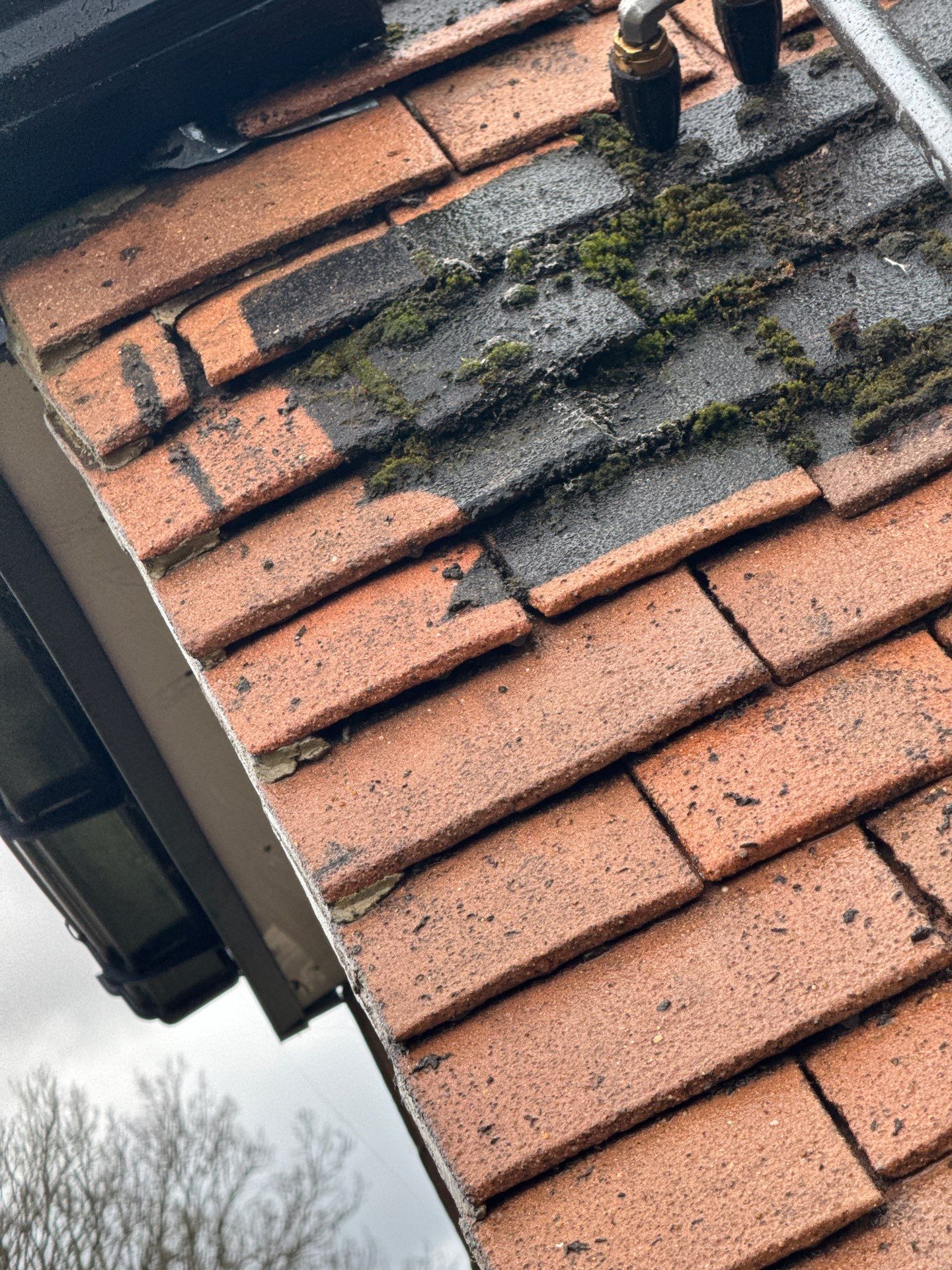 Roof and Patio Cleaning using Honda 15lpm Low Pressure Washing Machine by Ges Exterior Cleaning ltd