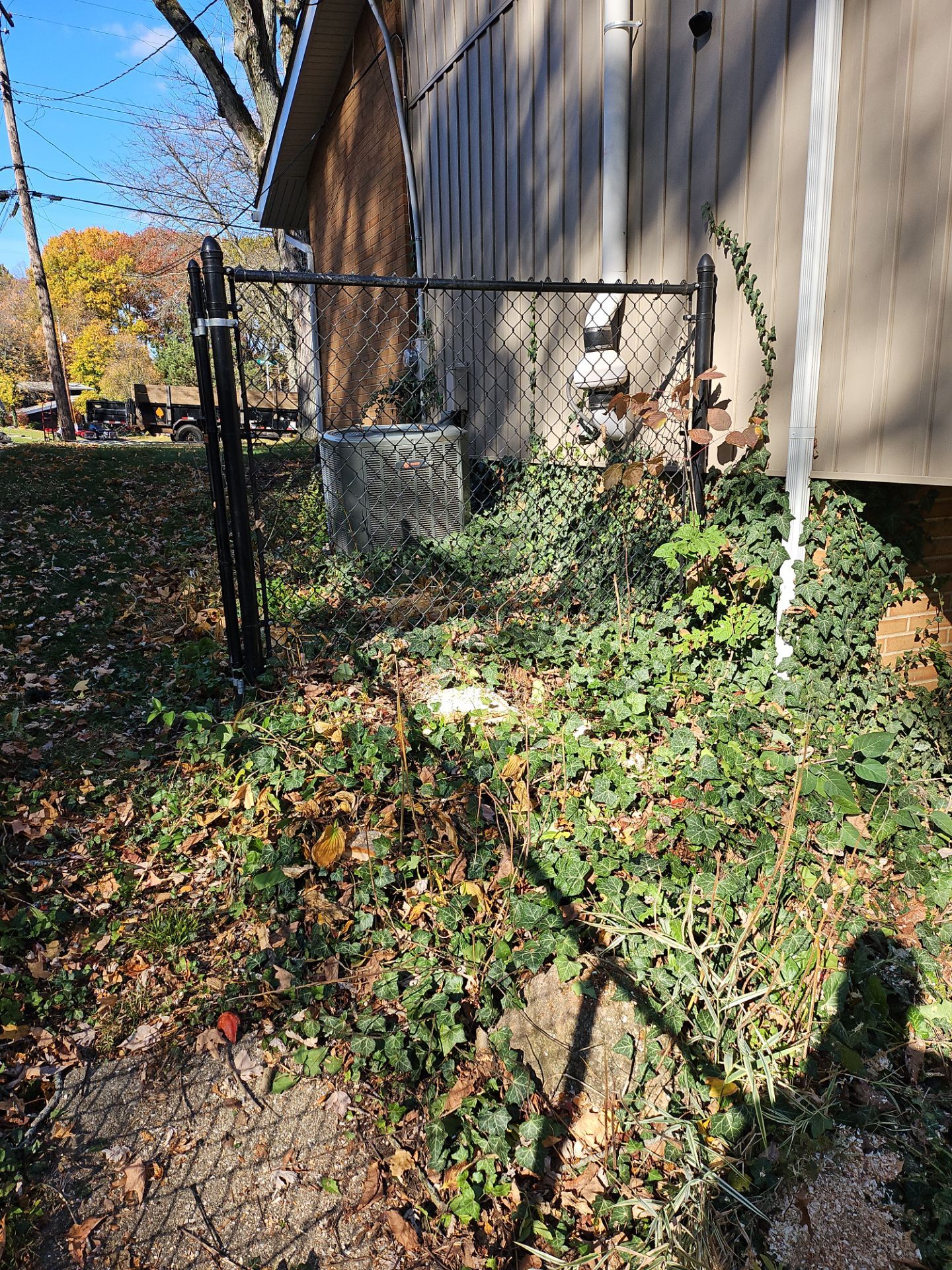 Tree Removal using Tree Removal by Mike Jones & Sons Tree Service LLC 