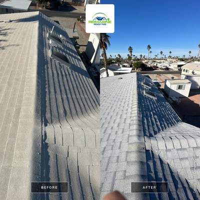 Silver Birch Shingles