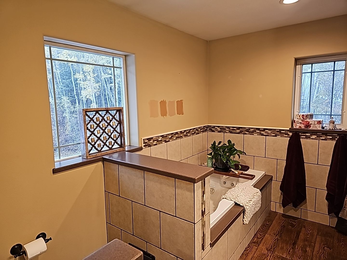 Entire Home Interior Repaint by Midnight Sun Painting