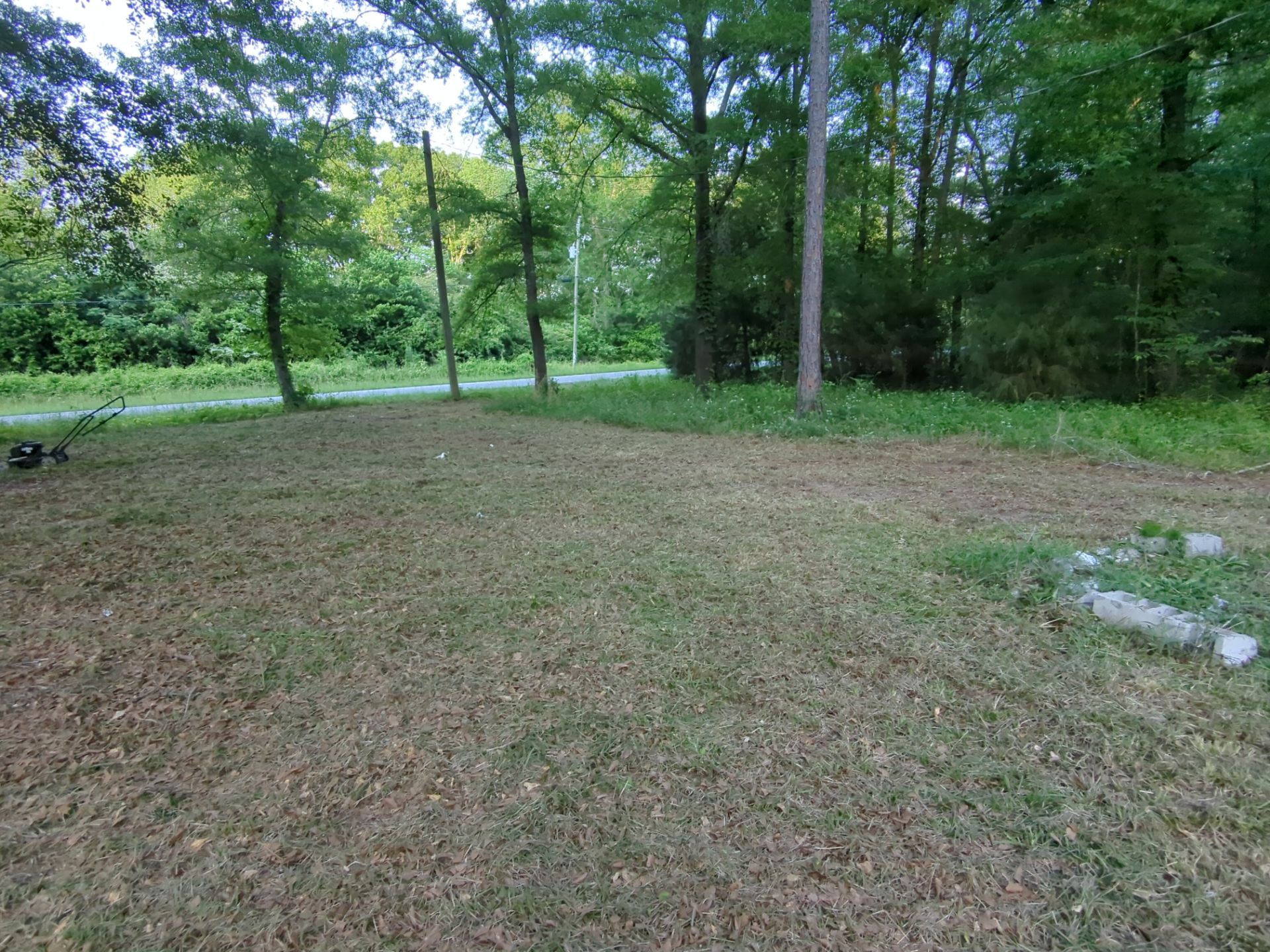 Exterior Clearing - tree trimming - grass cut by Swift Signings and Services LLC