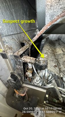Air Duct Cleaning in Montverde