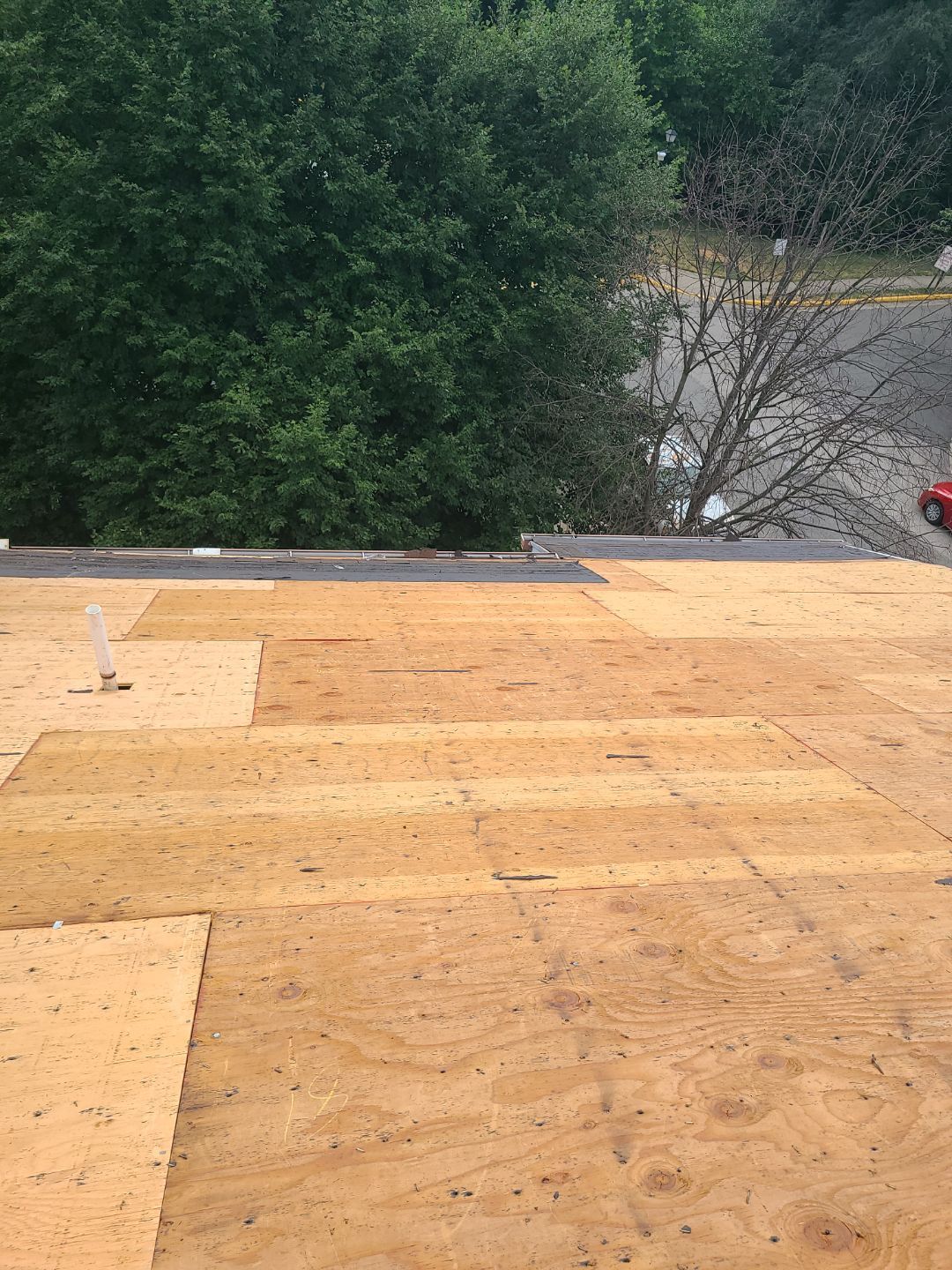 Alexandria: Roof Replacement with CertainTeed Landmark Pro in Max Def Burnt Sienna by RM Banning, Inc.