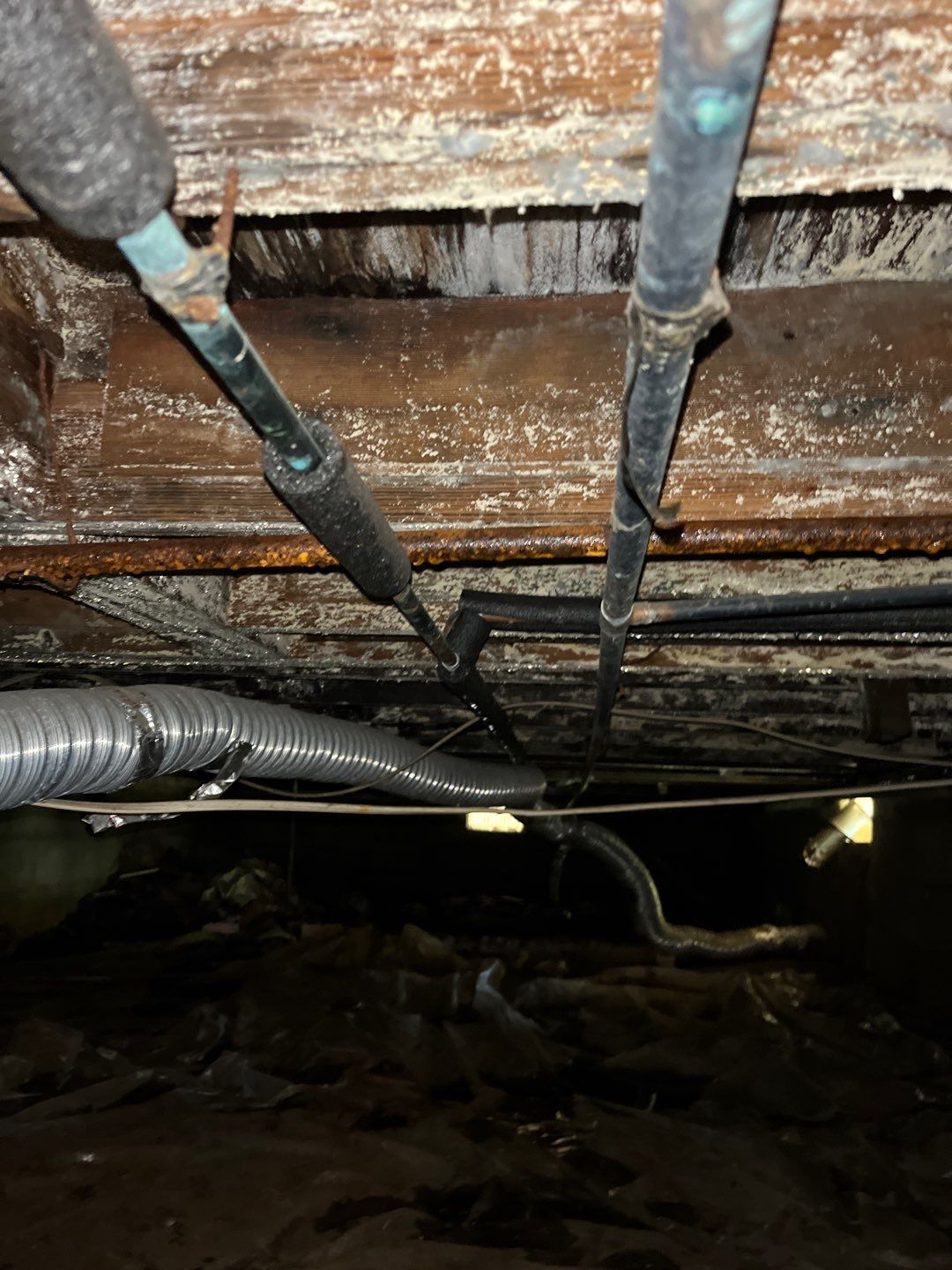 Project in Oklahoma City by PRO-ROOTER