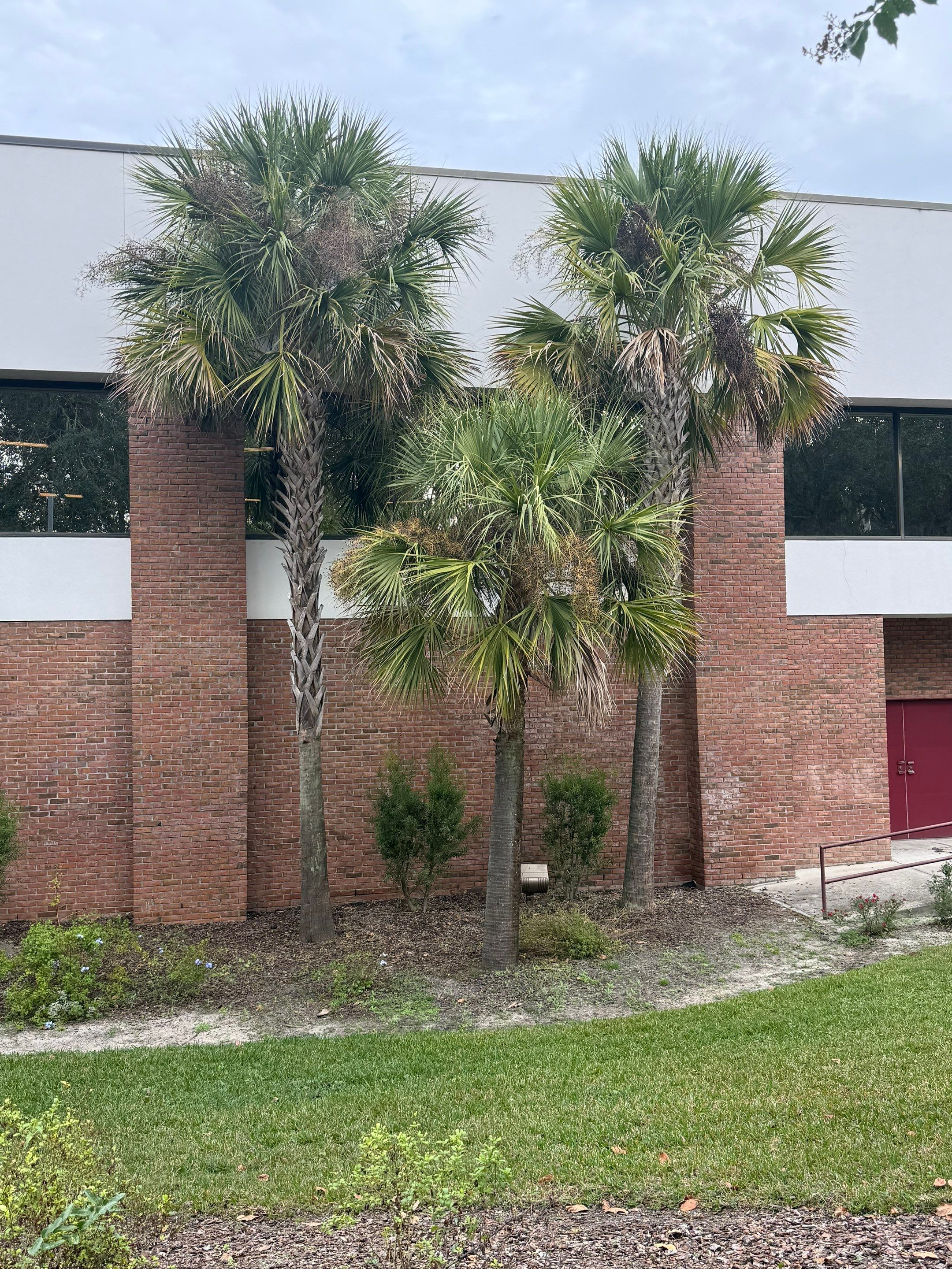 Volunteer Work | Episcopal High School of Jacksonville by ProGreen Services