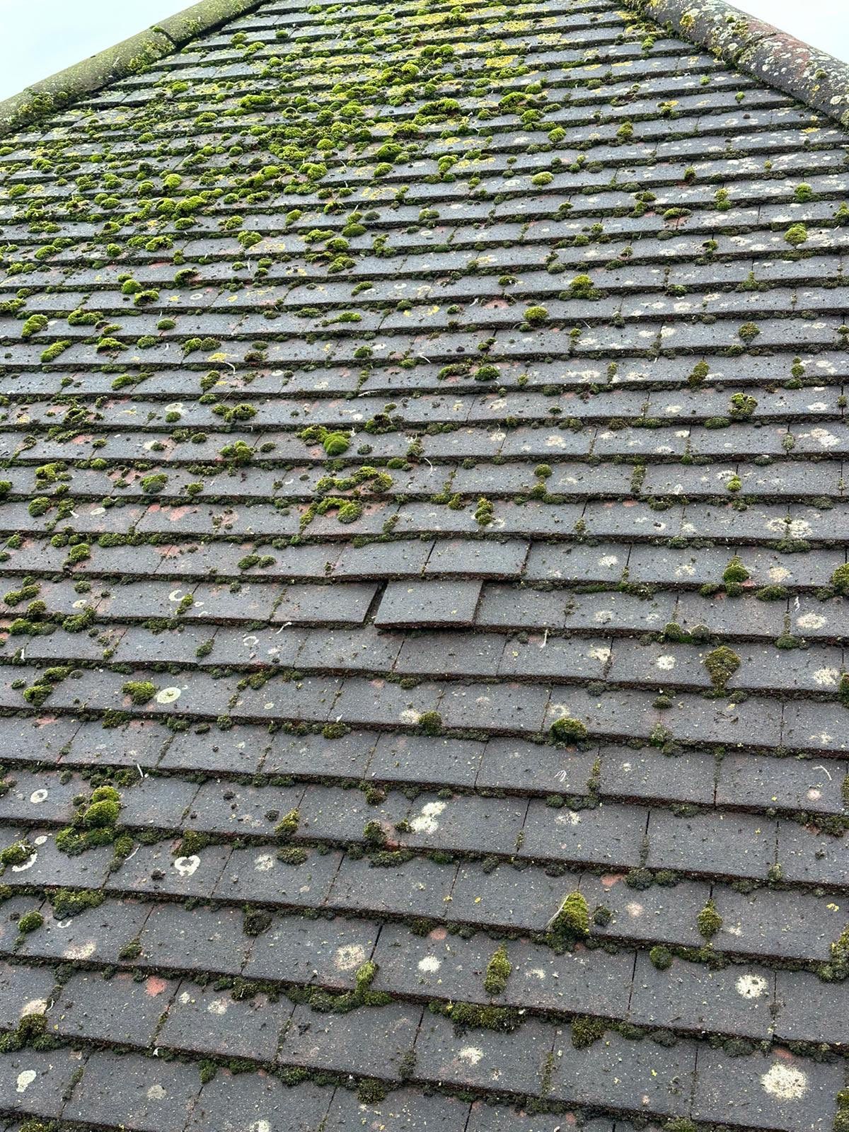 Roof Clean - Biocide Treatment using Mosmatic FSC and Biocide by Ges Exterior Cleaning ltd