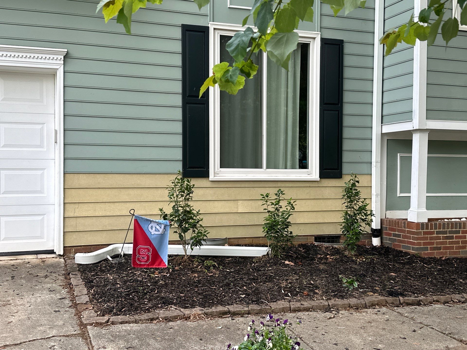 Siding Replacement and painting by GonzalezPainters & Contractors Inc 