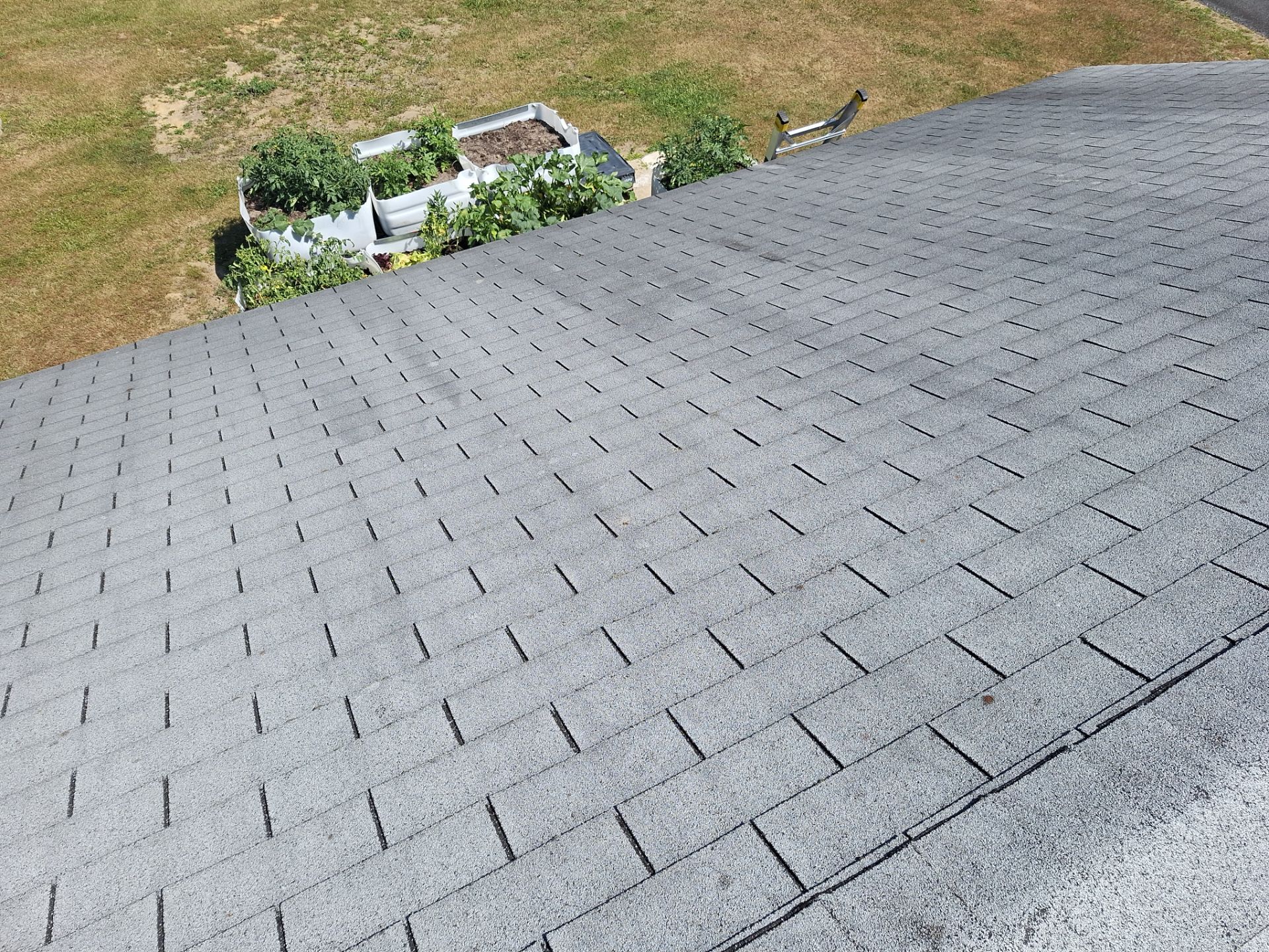Pacific Wave Shingles by Reimagine Roofing