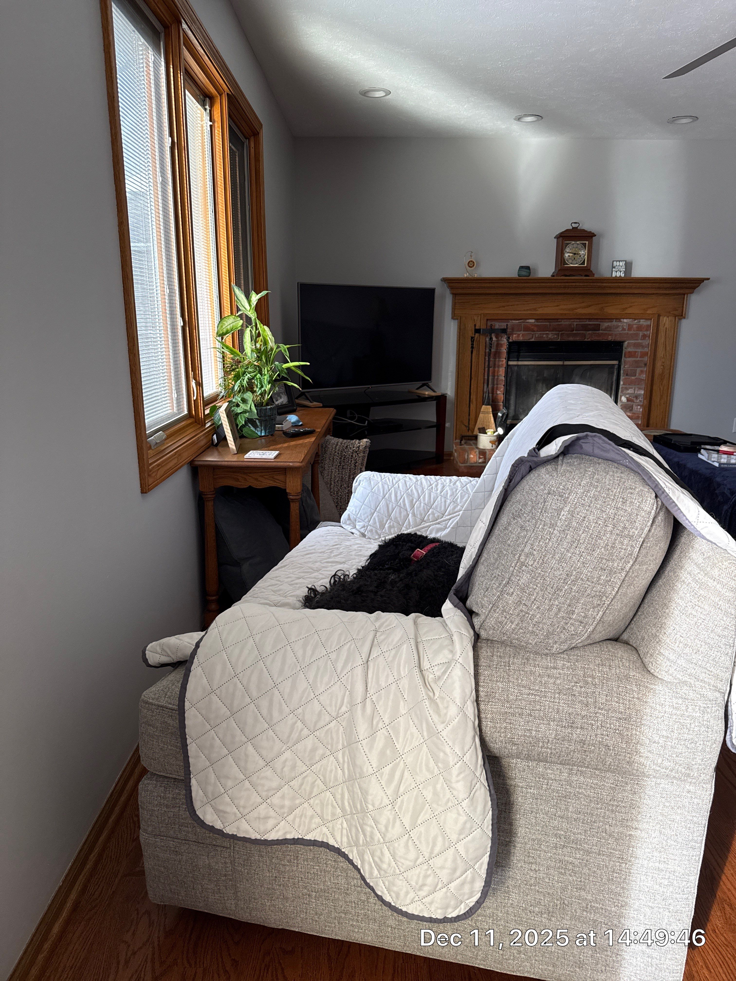 Washington Dulles Airport Marriott featured photo.