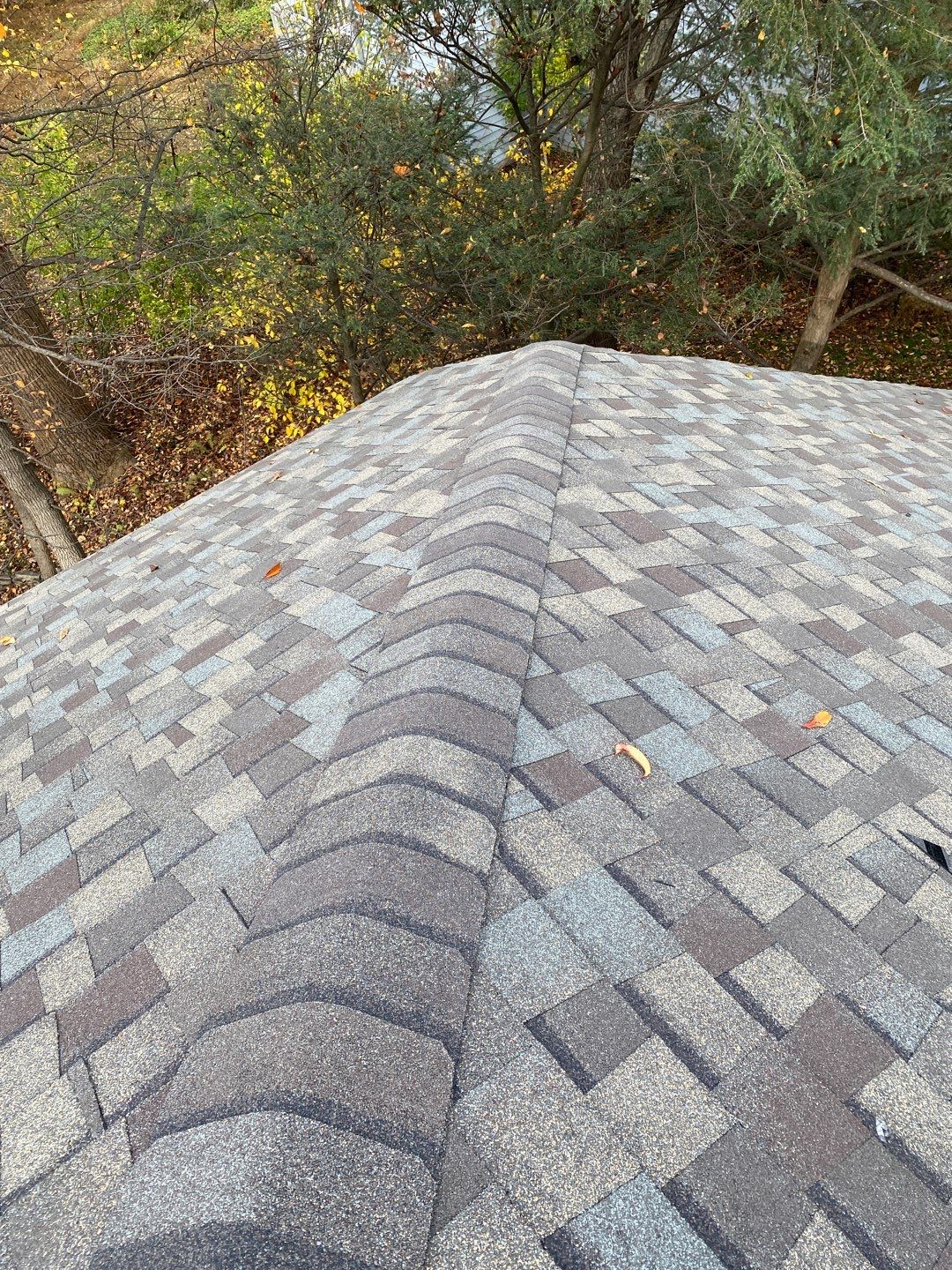 Install new shingles and new skylights  by Alpha Design Services
