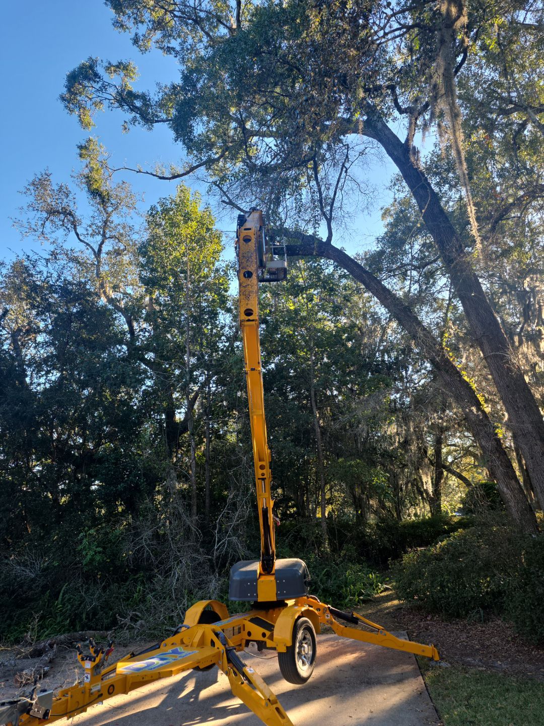 Deerwood Resident | Tree Removal & Trimming by ProGreen Services