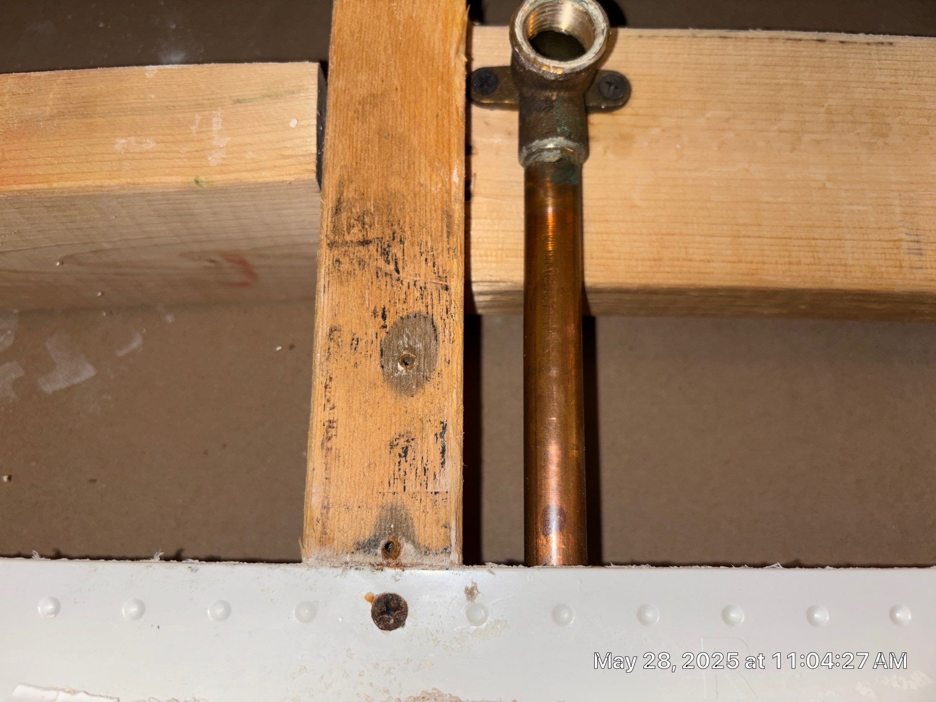Tampa Mold Removal by Ampm Restoration Services