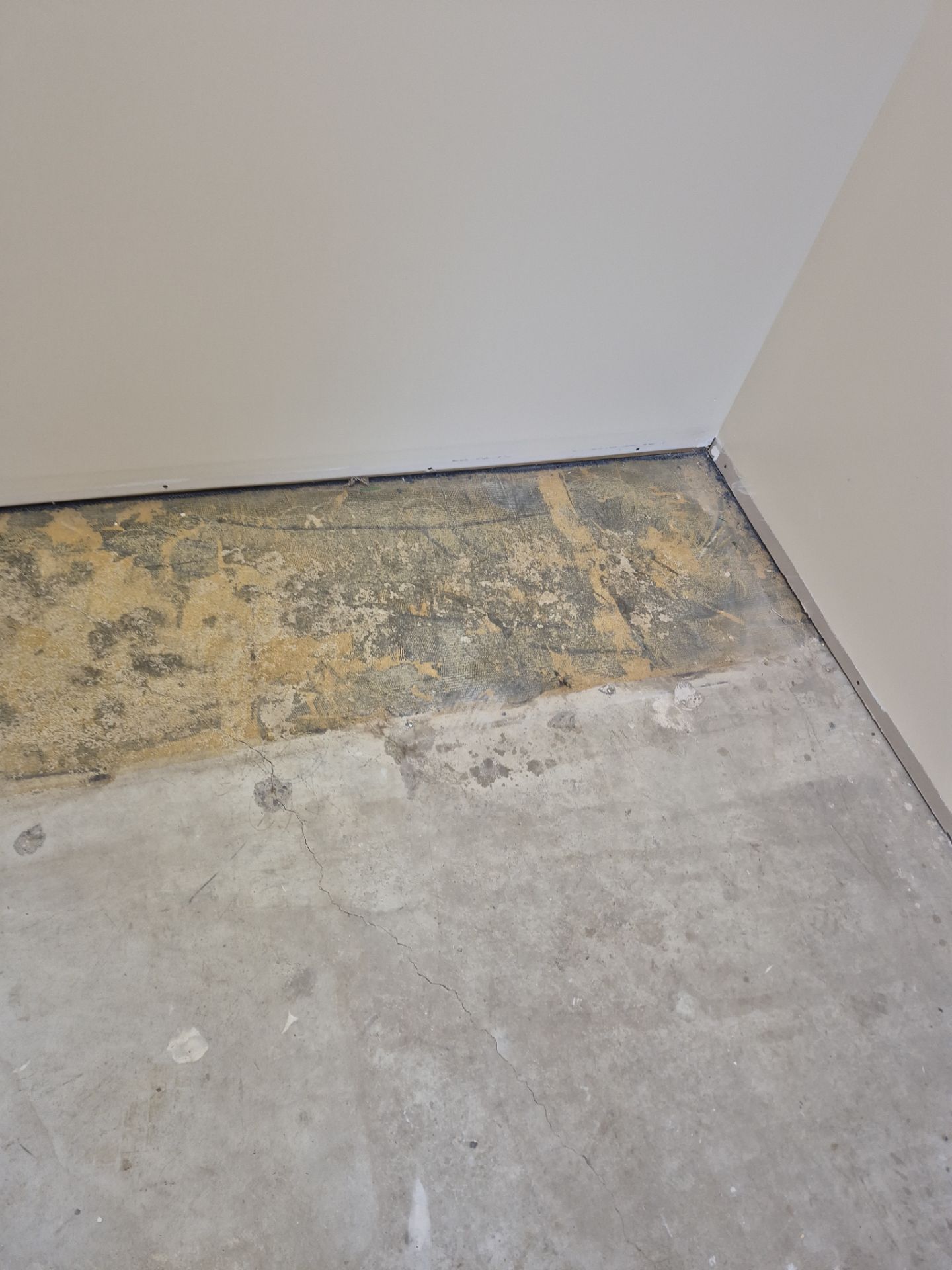 Project in Maple Rapids by Wise Coatings of Central Michigan