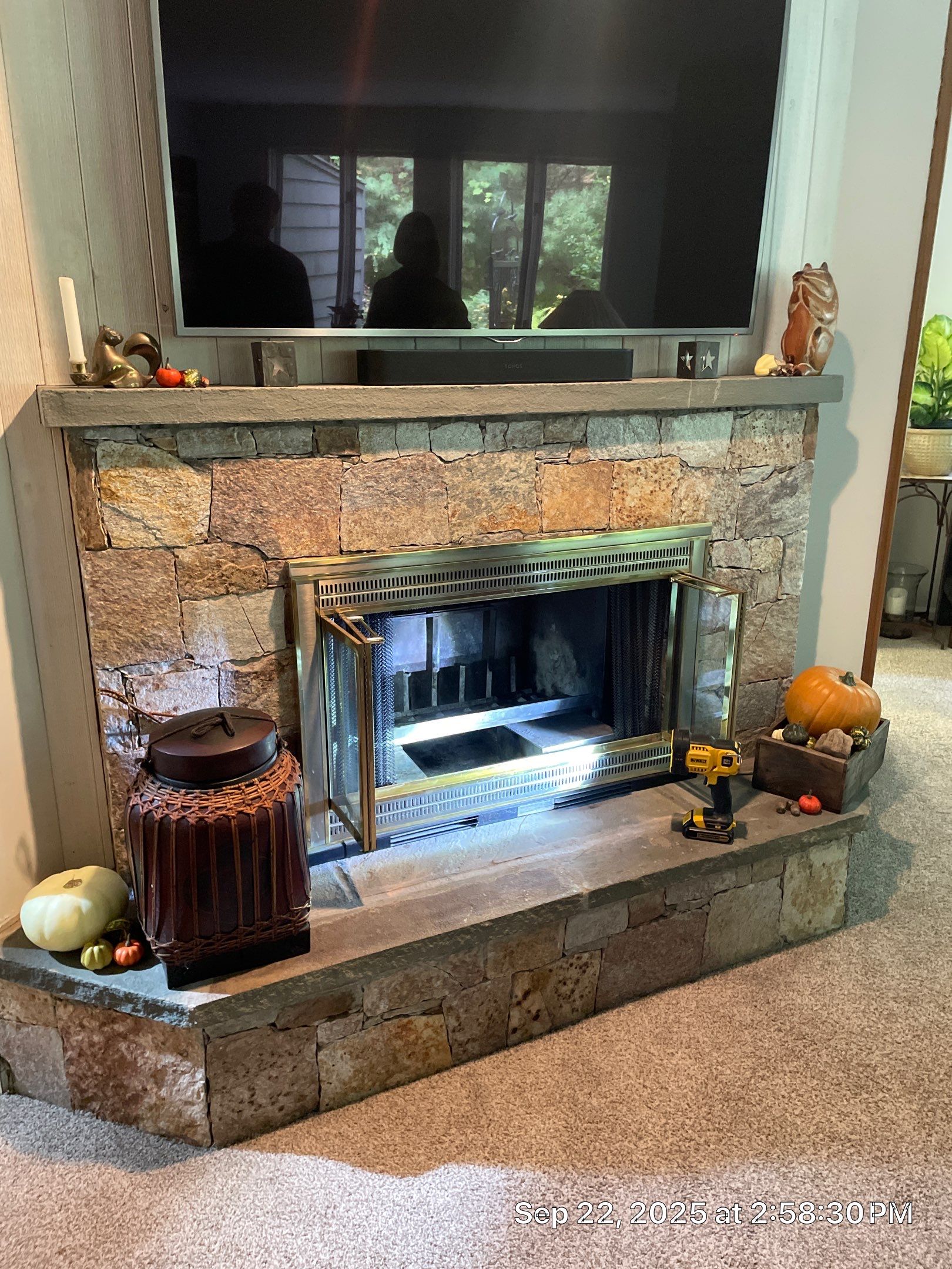 Gas Insert by Neighborhood Chimney Services 