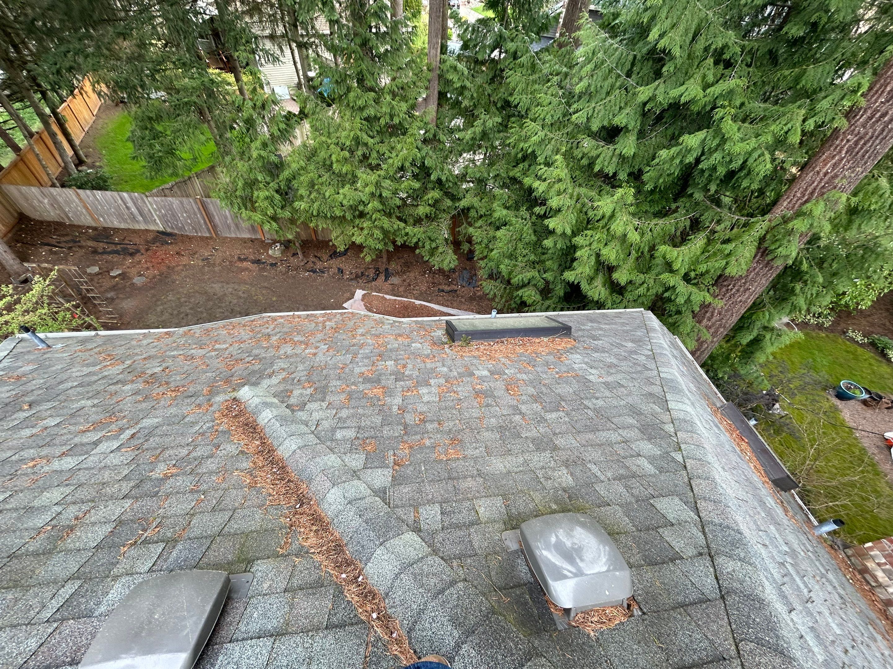 Project in Redmond by Peaks and Valleys Construction