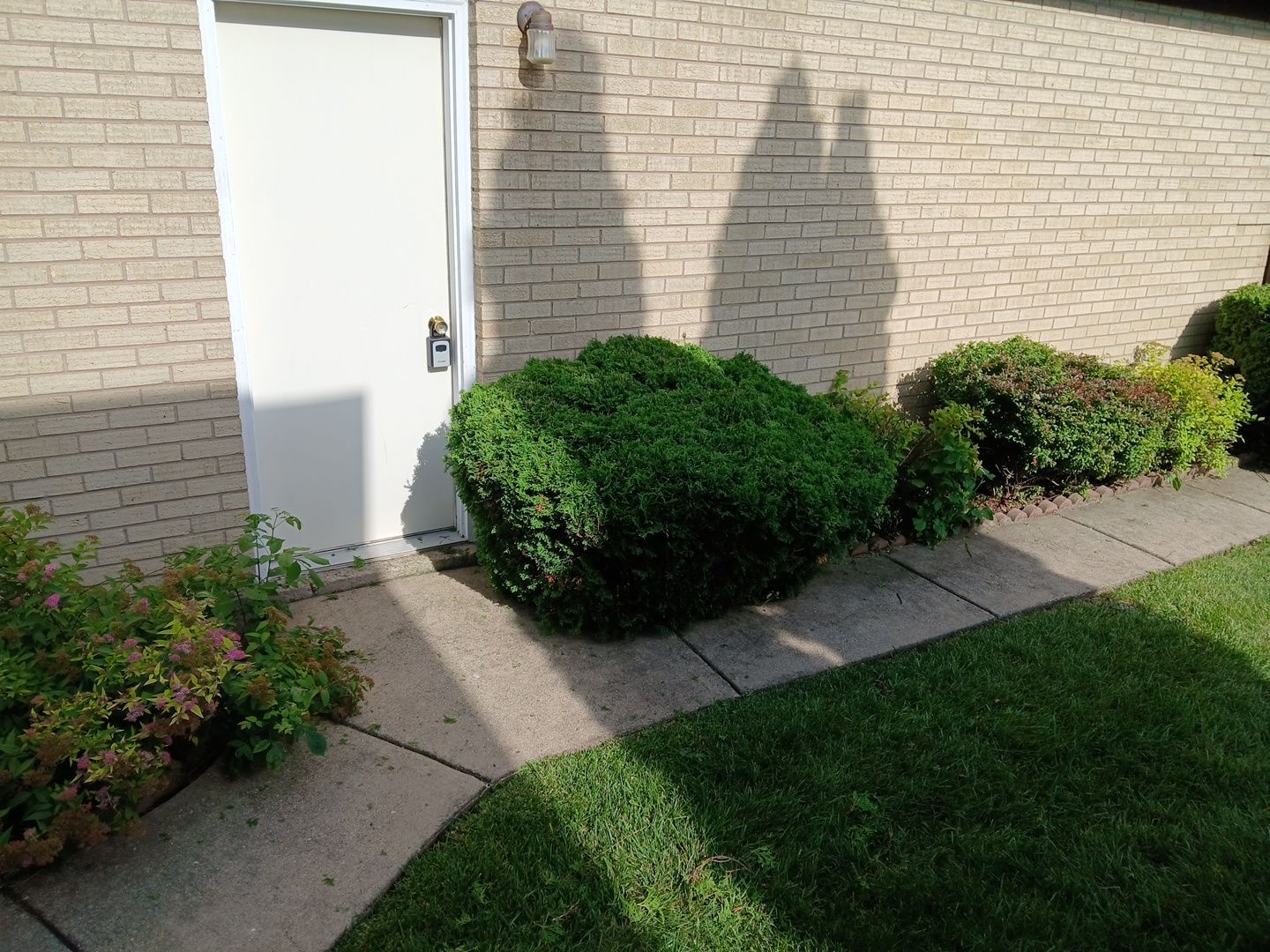 Andrew L. - Arlington Heights, IL by A&N
