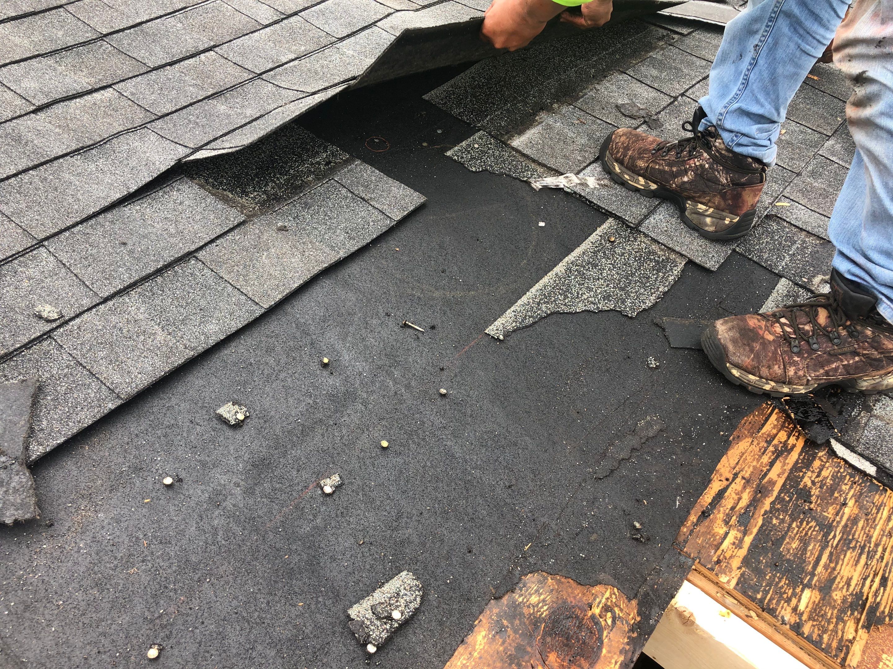 Shingle Repair by Durabilis Roofing INC
