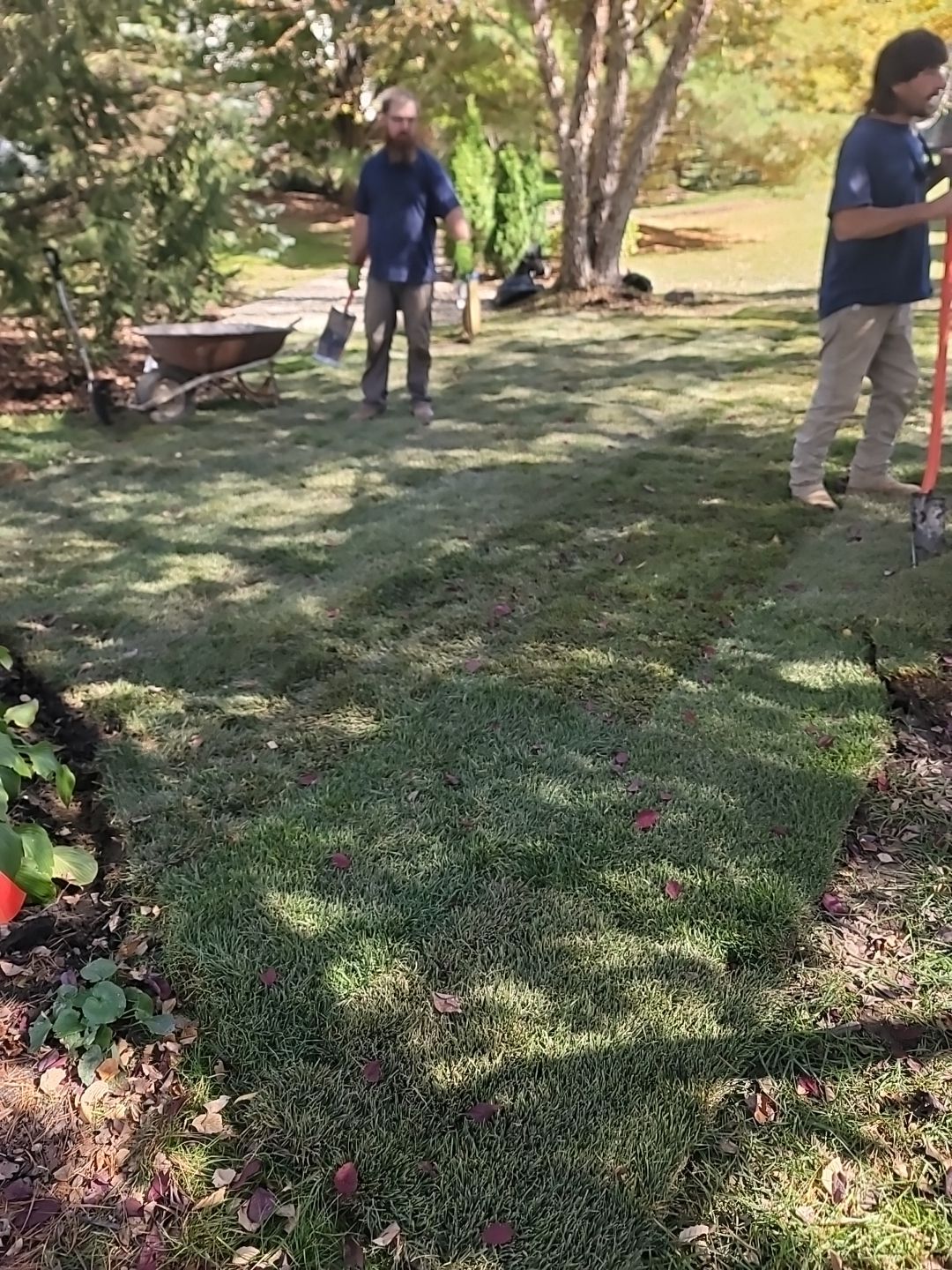 Exterior Drainage and Sump Pump System  by Homeward Environmental LLC