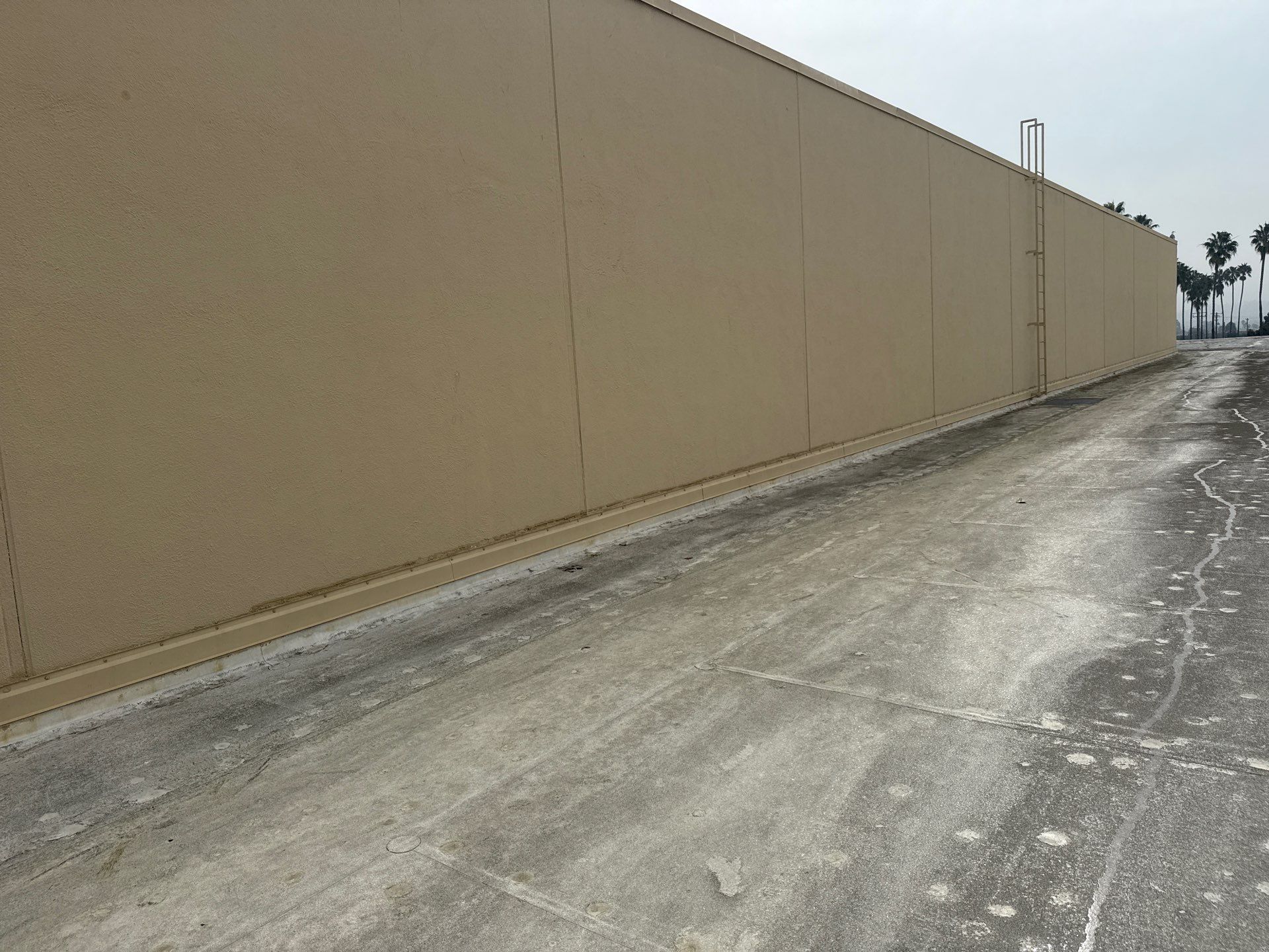 Project in Torrance, California by Sanchez Single Ply Roofing