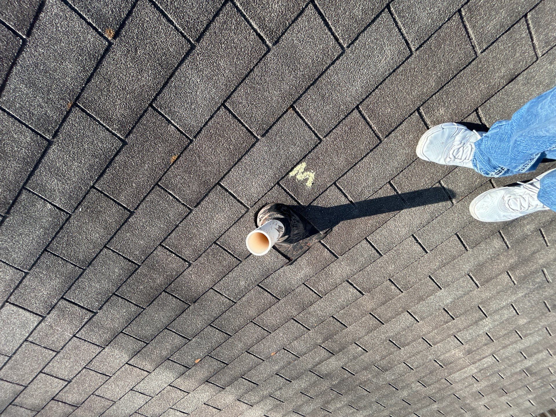 Miss Bridgette by REPS Austin Area Roofer