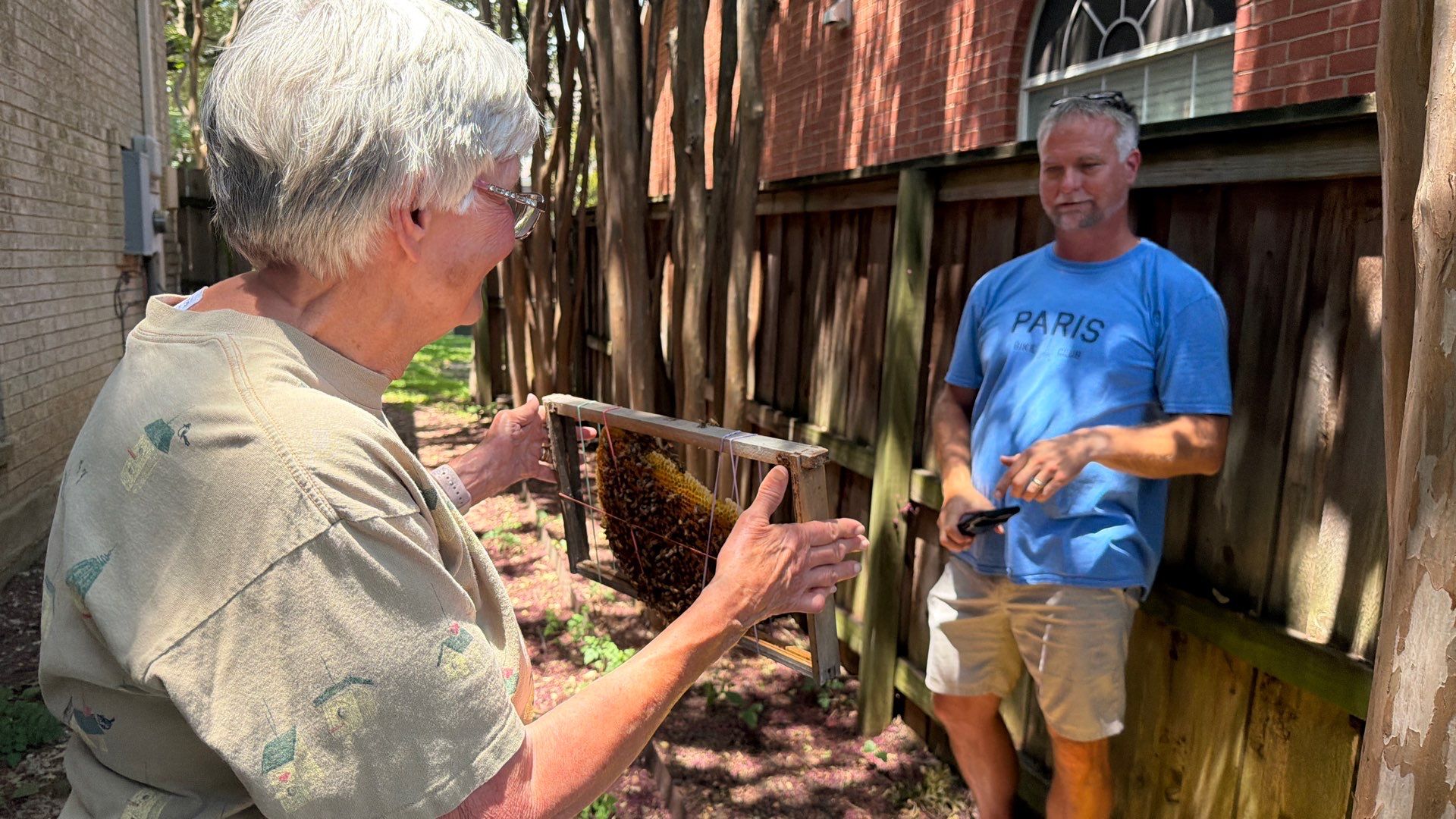 No Rush for these Bees by Rockwall Honey Bee Company
