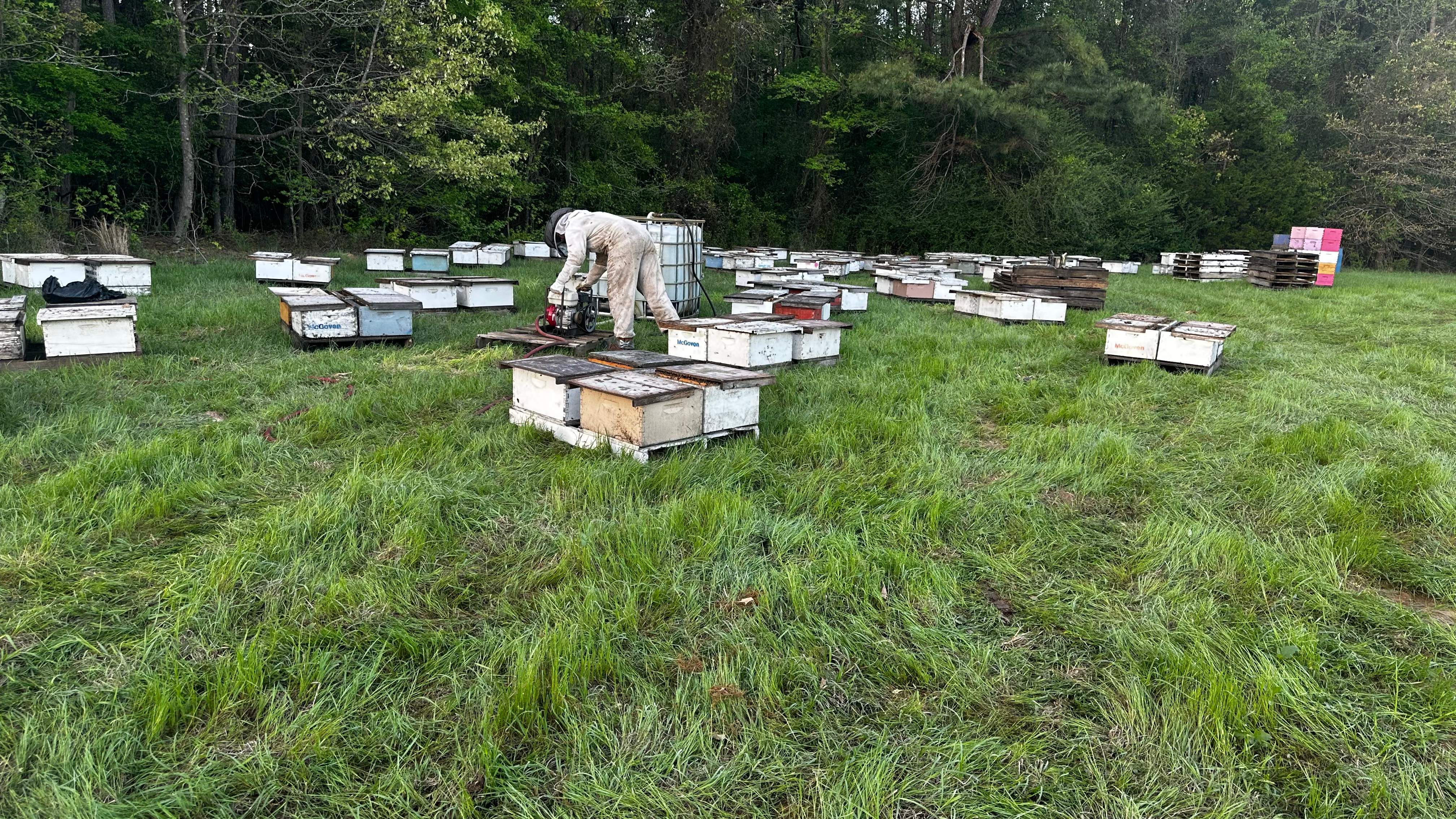 Traylor's Hay Meadow Apiary by Rockwall Honey Bee Company