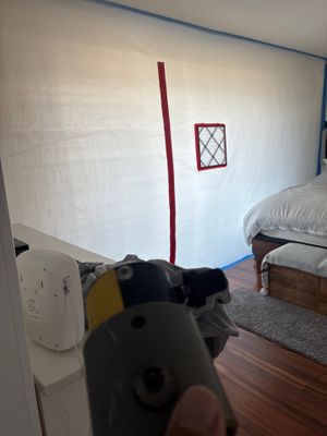 Black Mold Removal — Fort Myers, FL