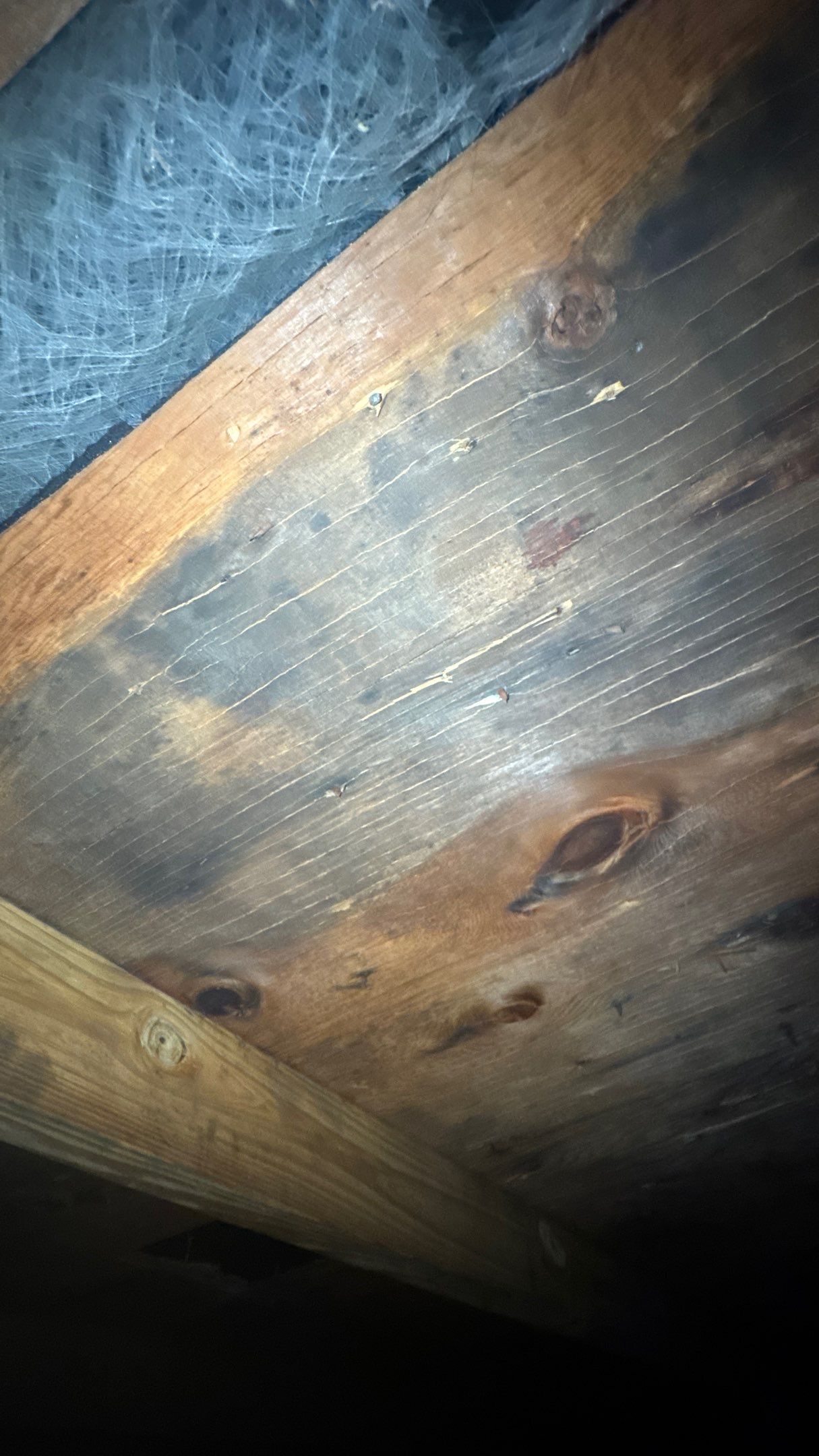 Roof Replacement using Malarkey Legacy Natural Wood by 180 Contractors