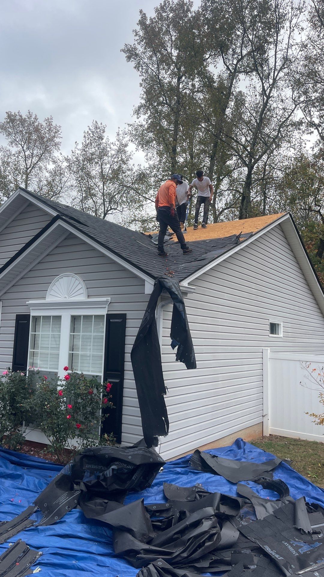 Roof replacement by wind damage and tree felling by Just Brilliant Restoration JBR