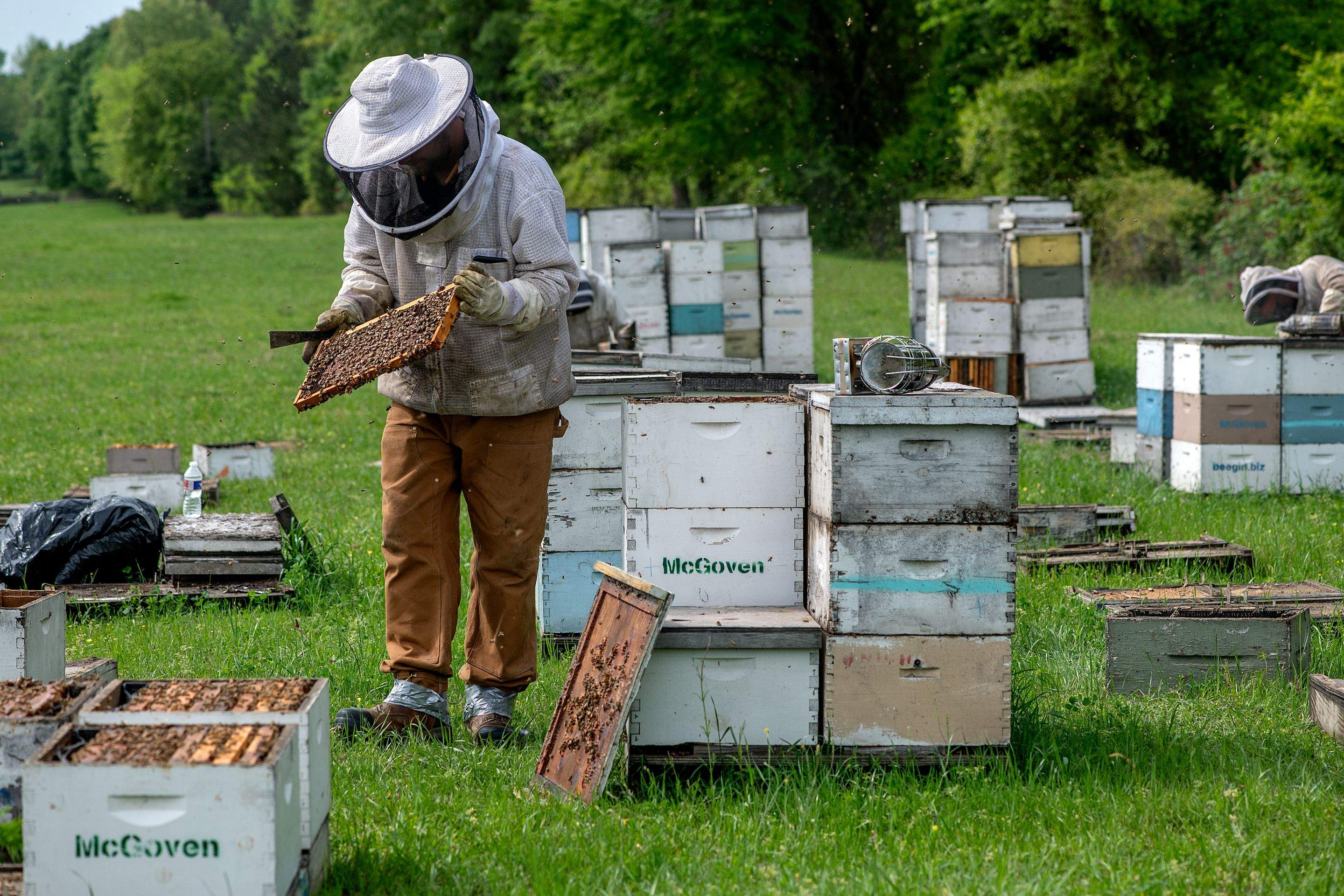Splits in East Texas by Rockwall Honey Bee Company